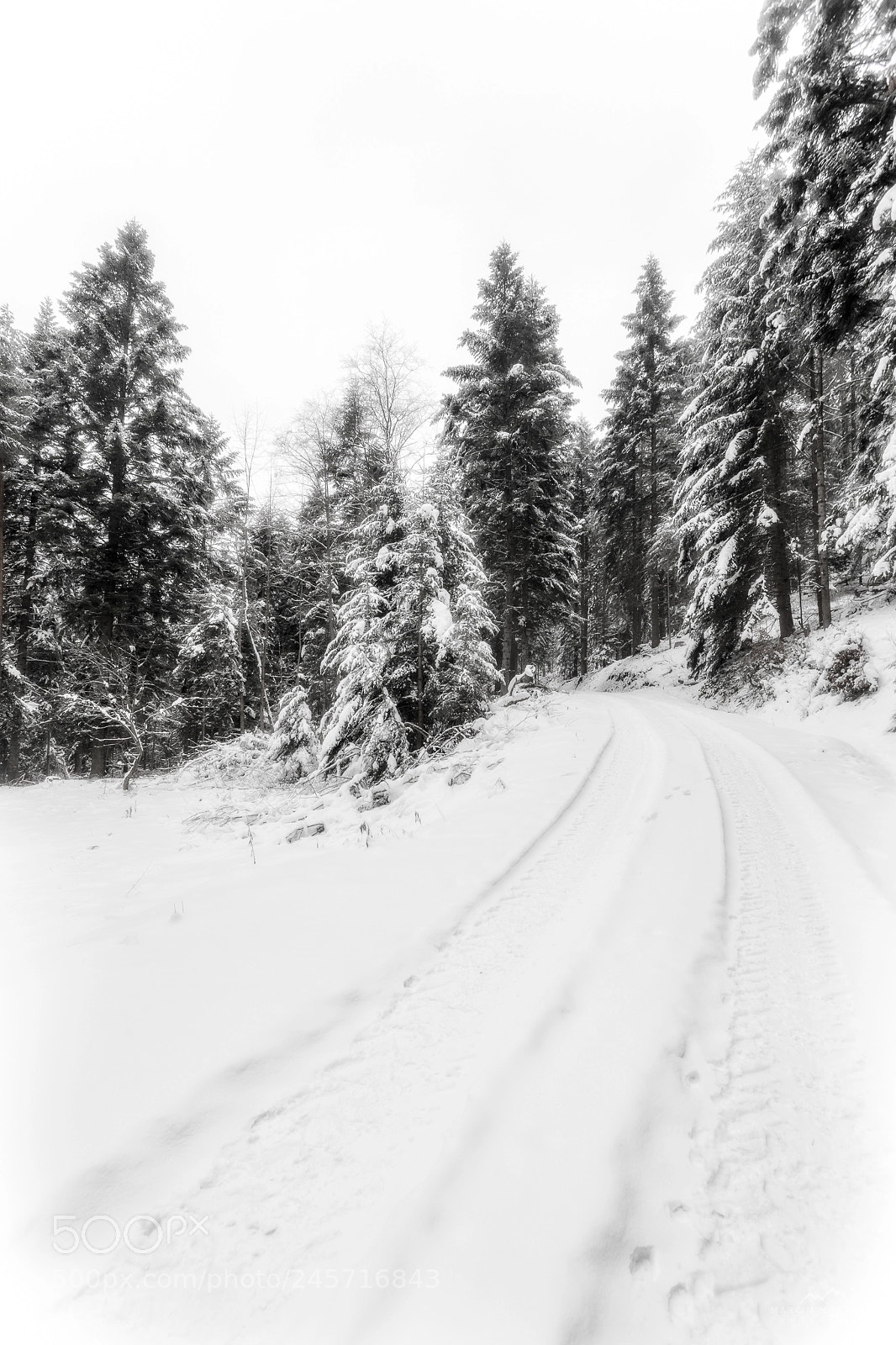 Canon EOS 6D sample photo. Winter road photography
