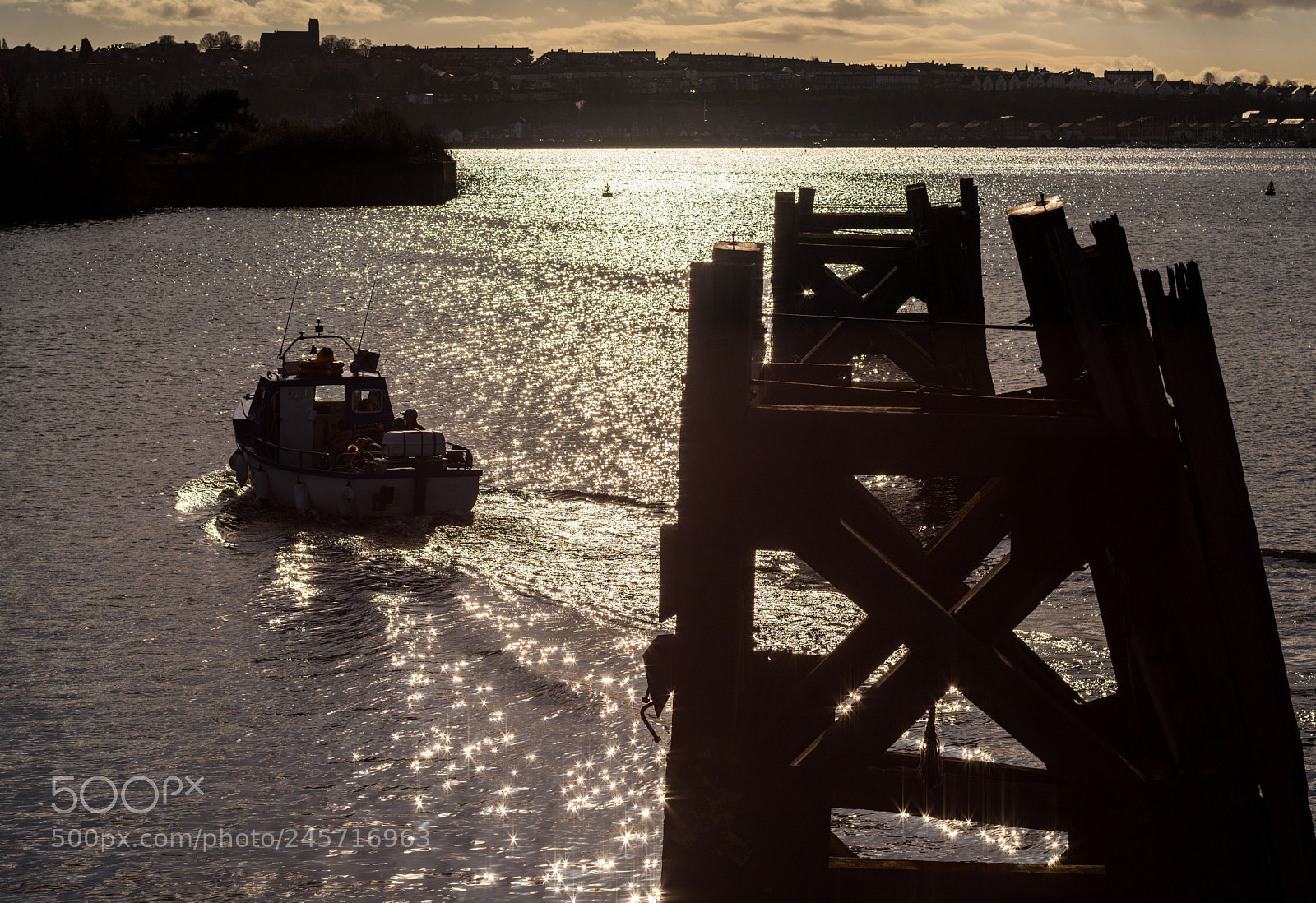 Nikon D810 sample photo. Contre-jour photography