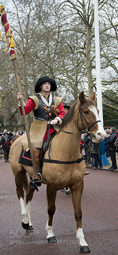 Nikon D600 sample photo. Commemoration of the execution photography