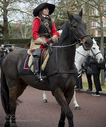 Nikon D600 sample photo. Commemoration of the execution photography