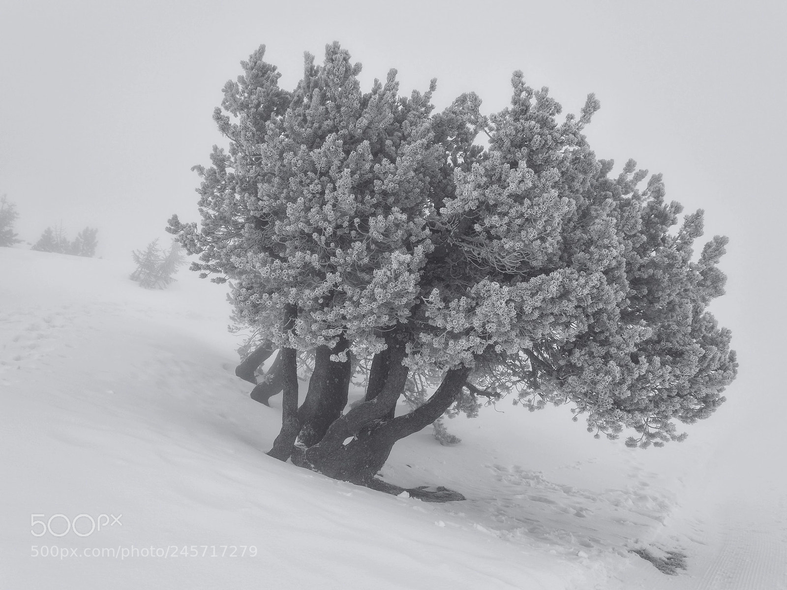 Pentax K-3 II sample photo. Misty mountain photography