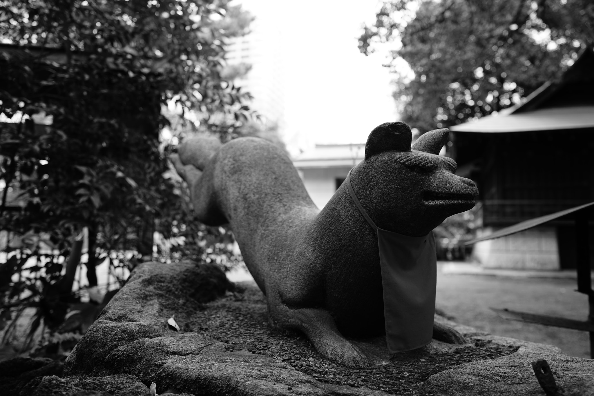 Sony FE 28mm F2 sample photo. Fox statue photography