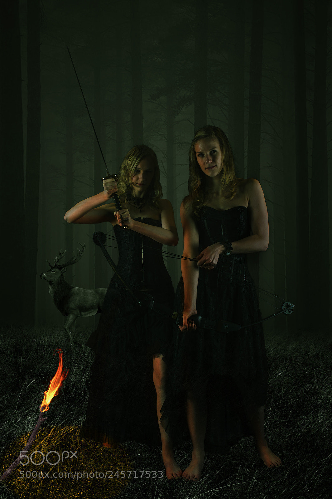 Nikon D4S sample photo. Deerhunters photography