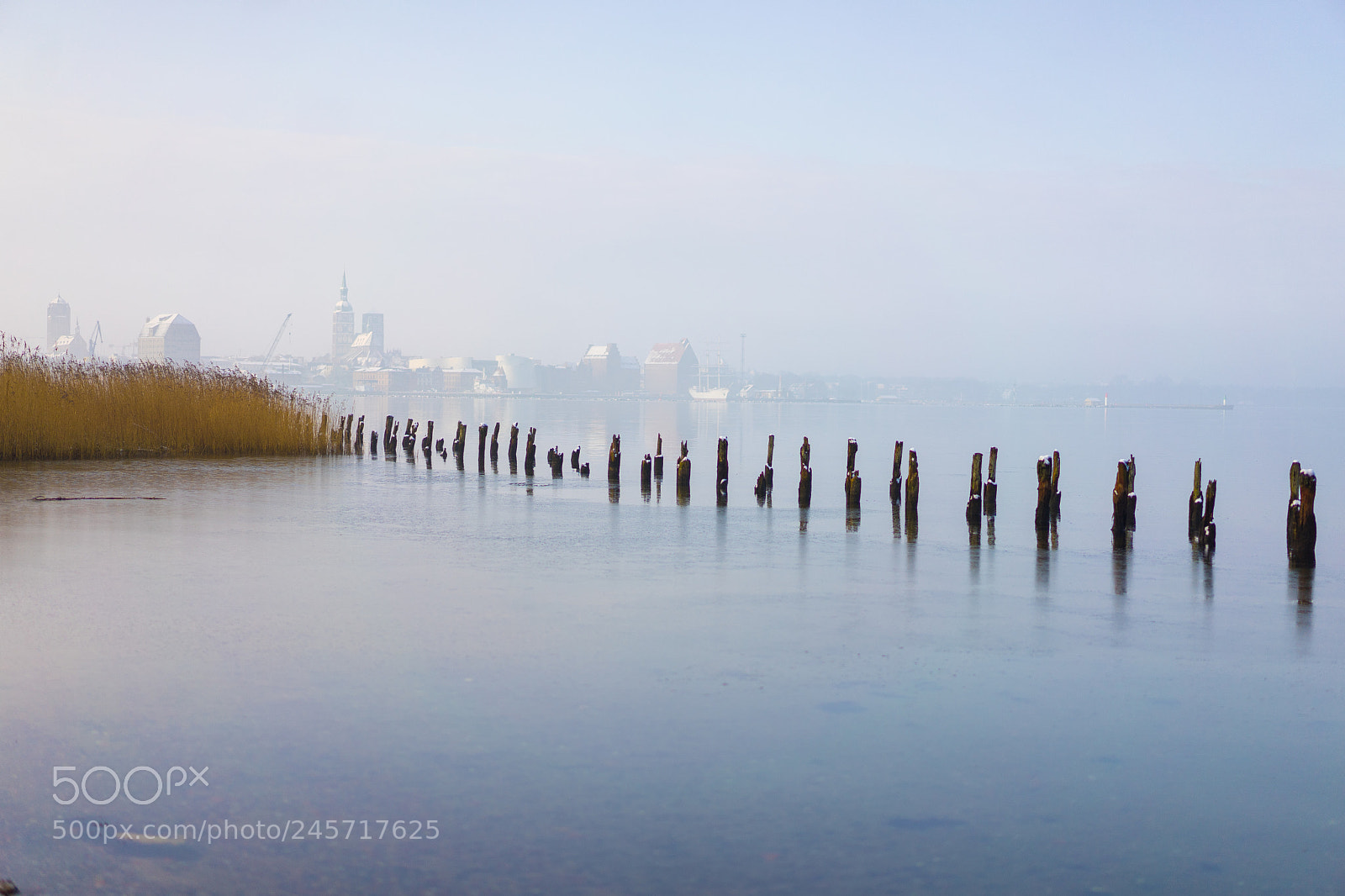 Sony a7 II sample photo. Stralsund in winter fog photography