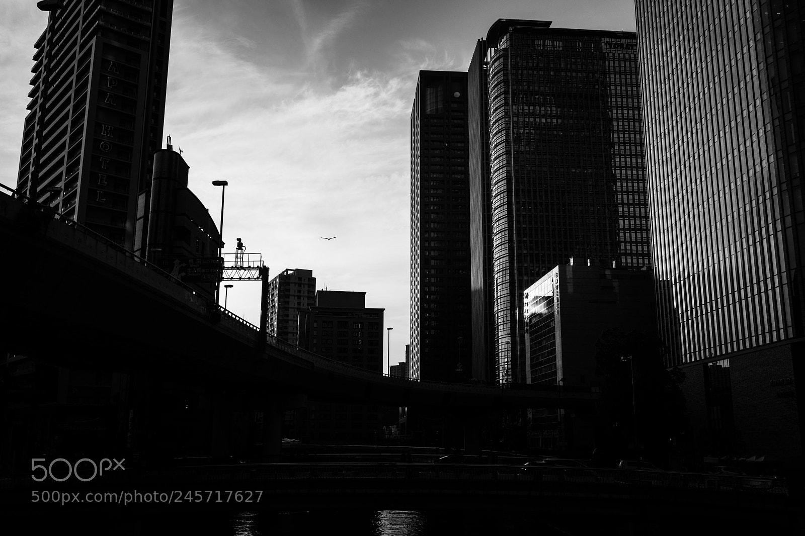 Sony Cyber-shot DSC-RX1R sample photo. Fly in the city photography