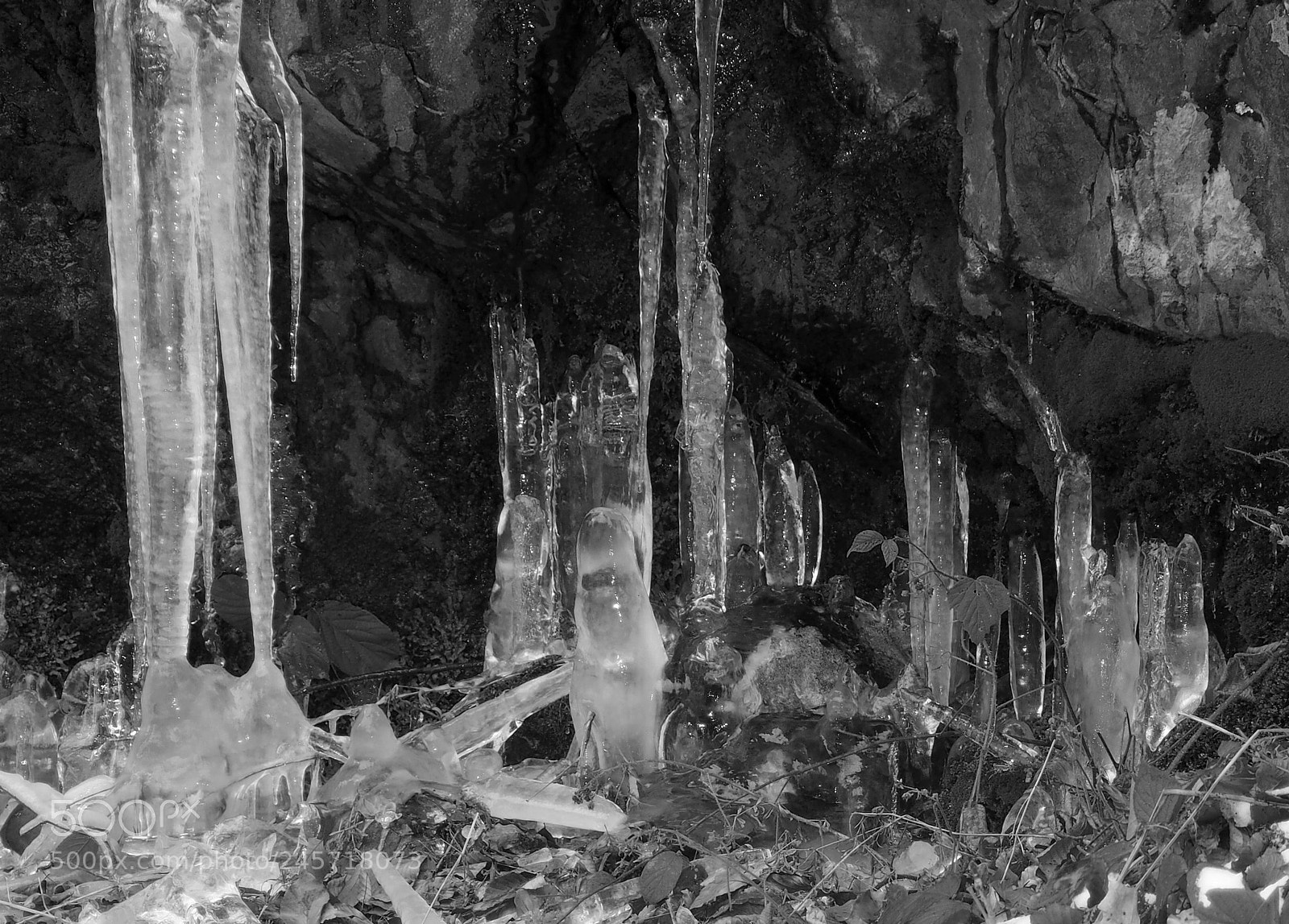 Olympus OM-D E-M10 sample photo. Ice photography
