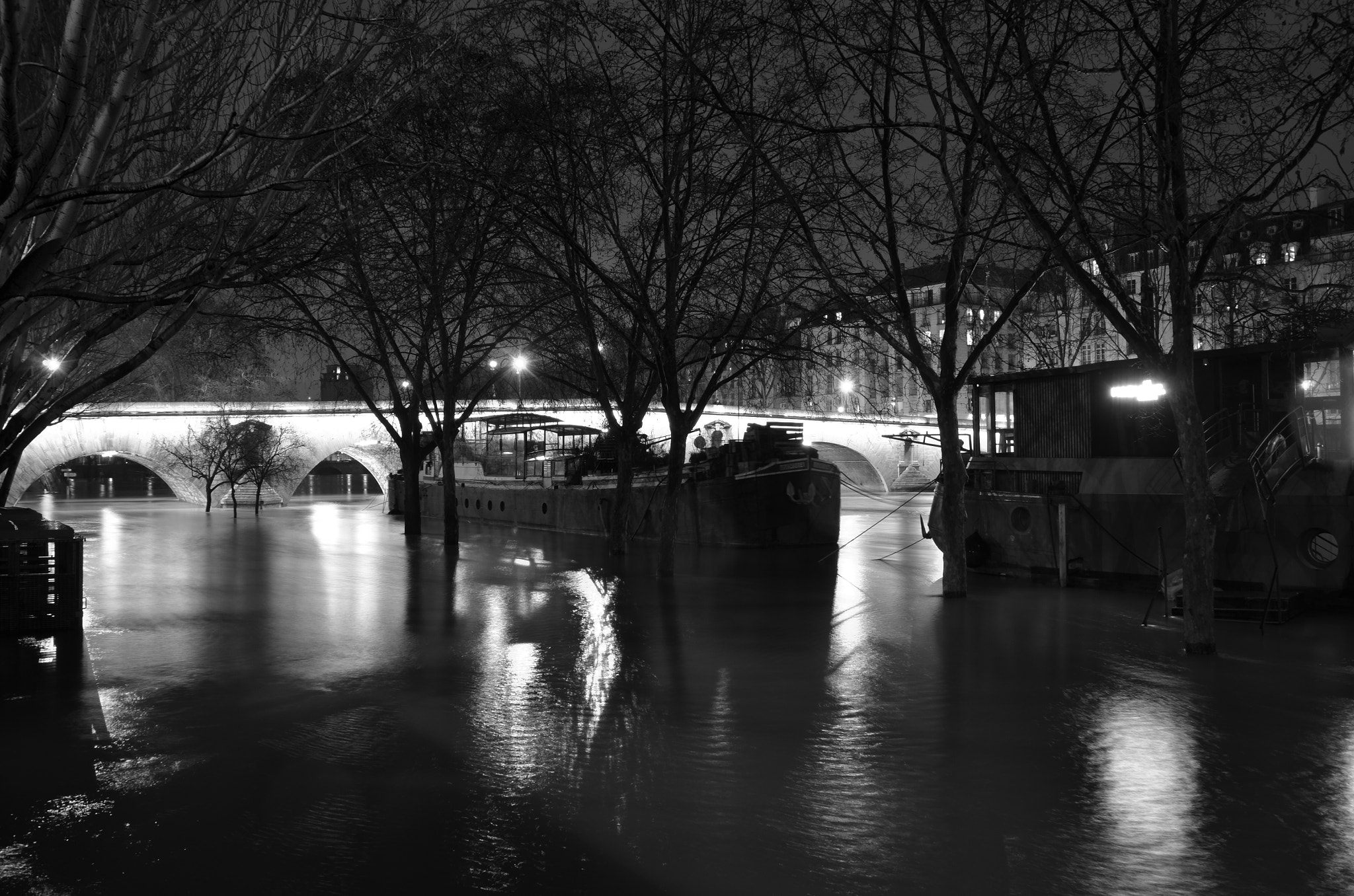 Nikon D7000 + Tamron AF 18-200mm F3.5-6.3 XR Di II LD Aspherical (IF) Macro sample photo. Paris floods photography