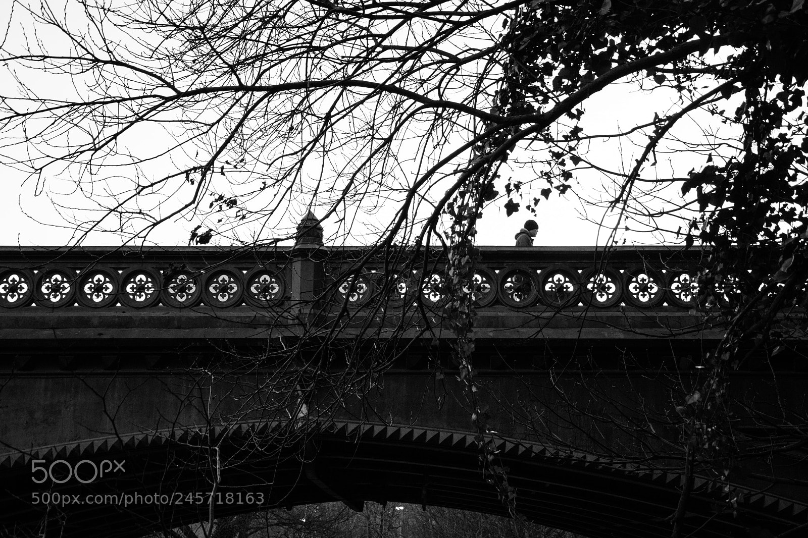 Nikon D7200 sample photo. "kelvinbridge" photography