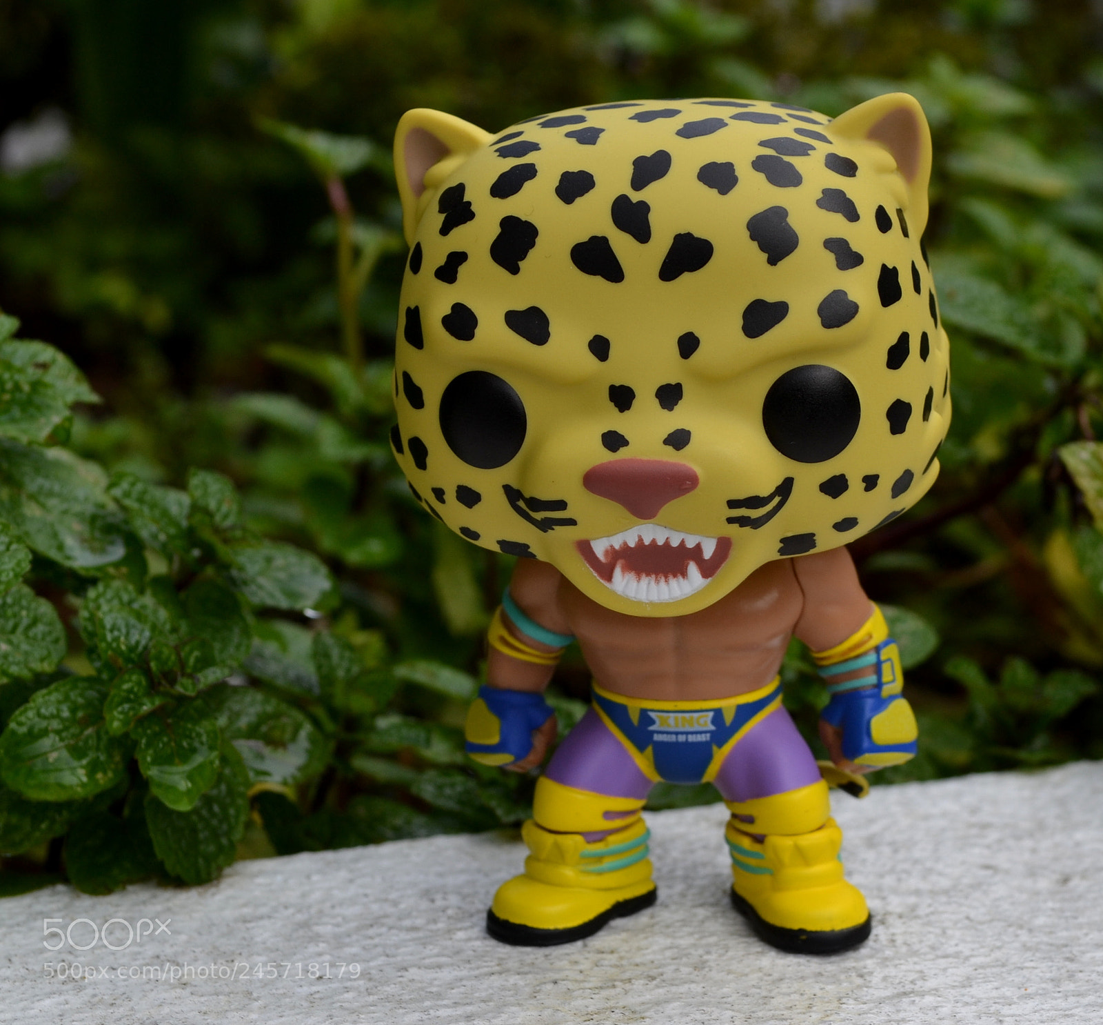Nikon D3100 sample photo. Funko pop taken king photography