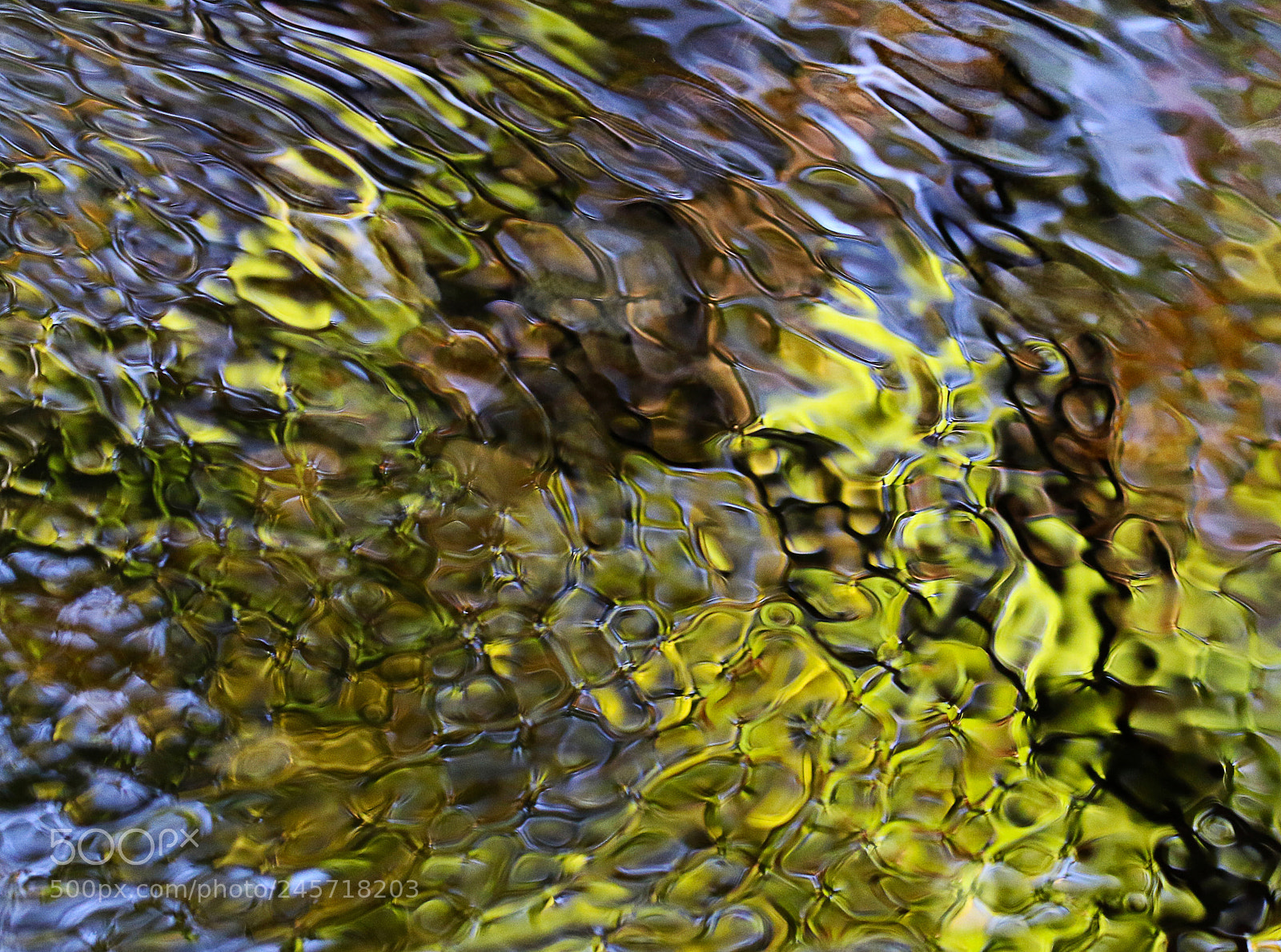 Canon EOS 7D Mark II sample photo. Colorful reflection photography