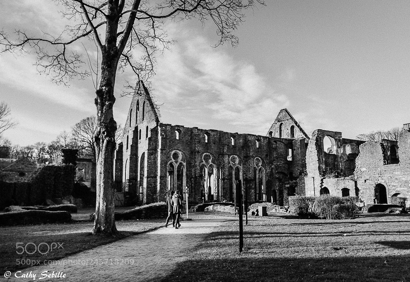 Canon EOS 7D Mark II sample photo. Balade à villers-la-ville photography