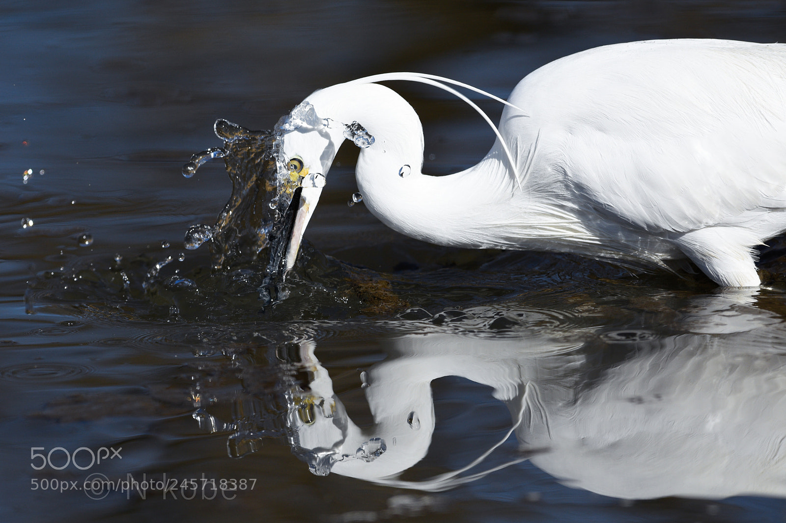 Nikon D7200 sample photo. Dsc photography
