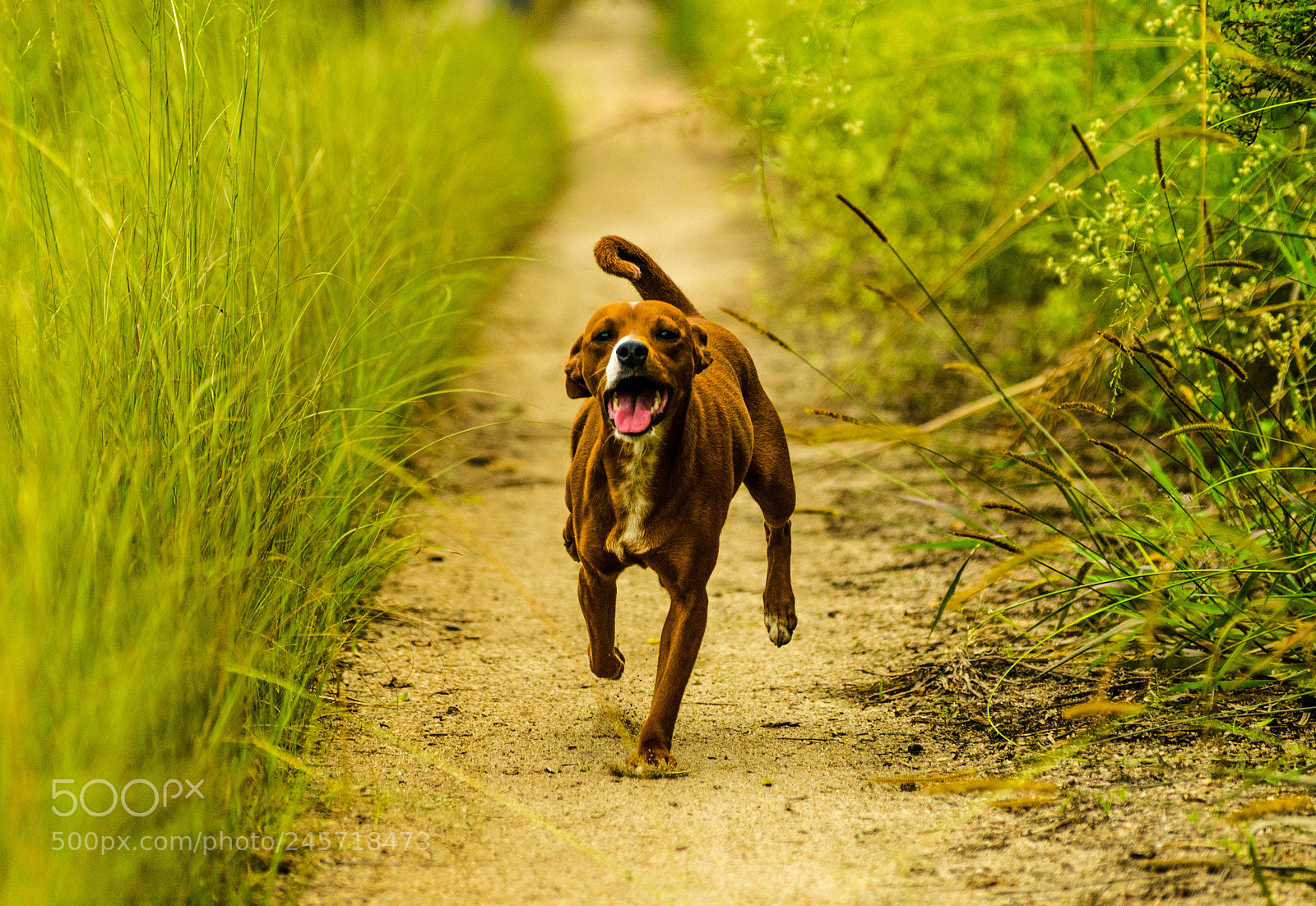 Nikon D5100 sample photo. Mel - my bautiful photography