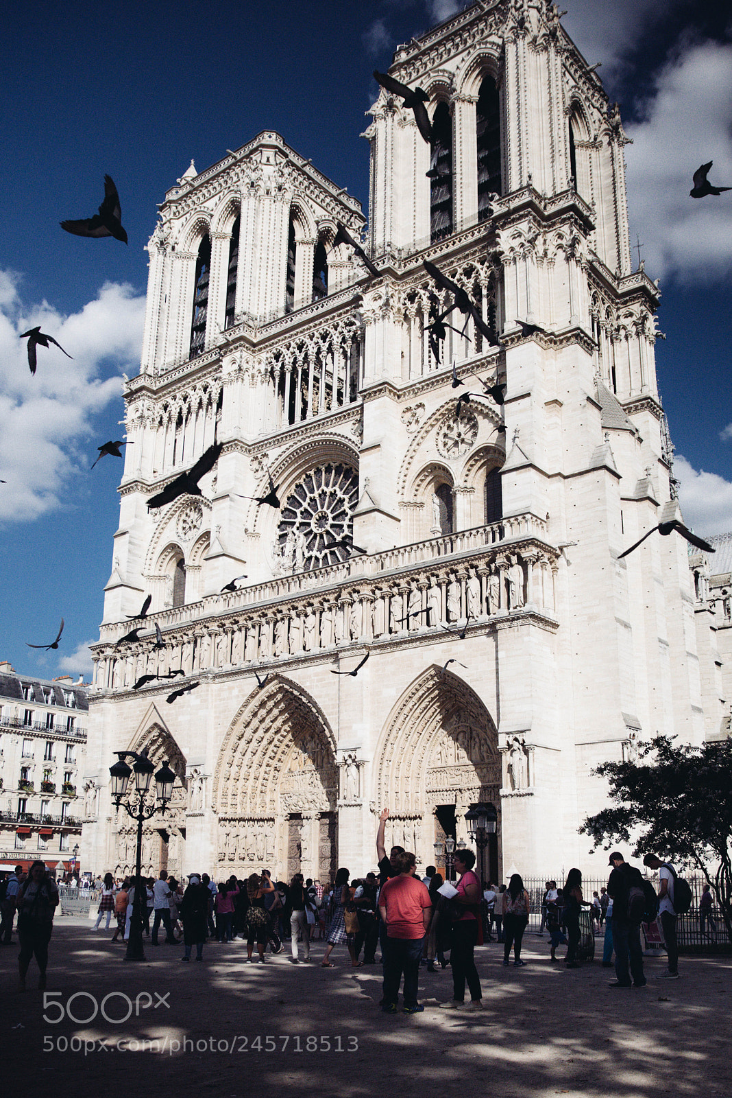 Nikon D810 sample photo. Notre dame cathedral photography