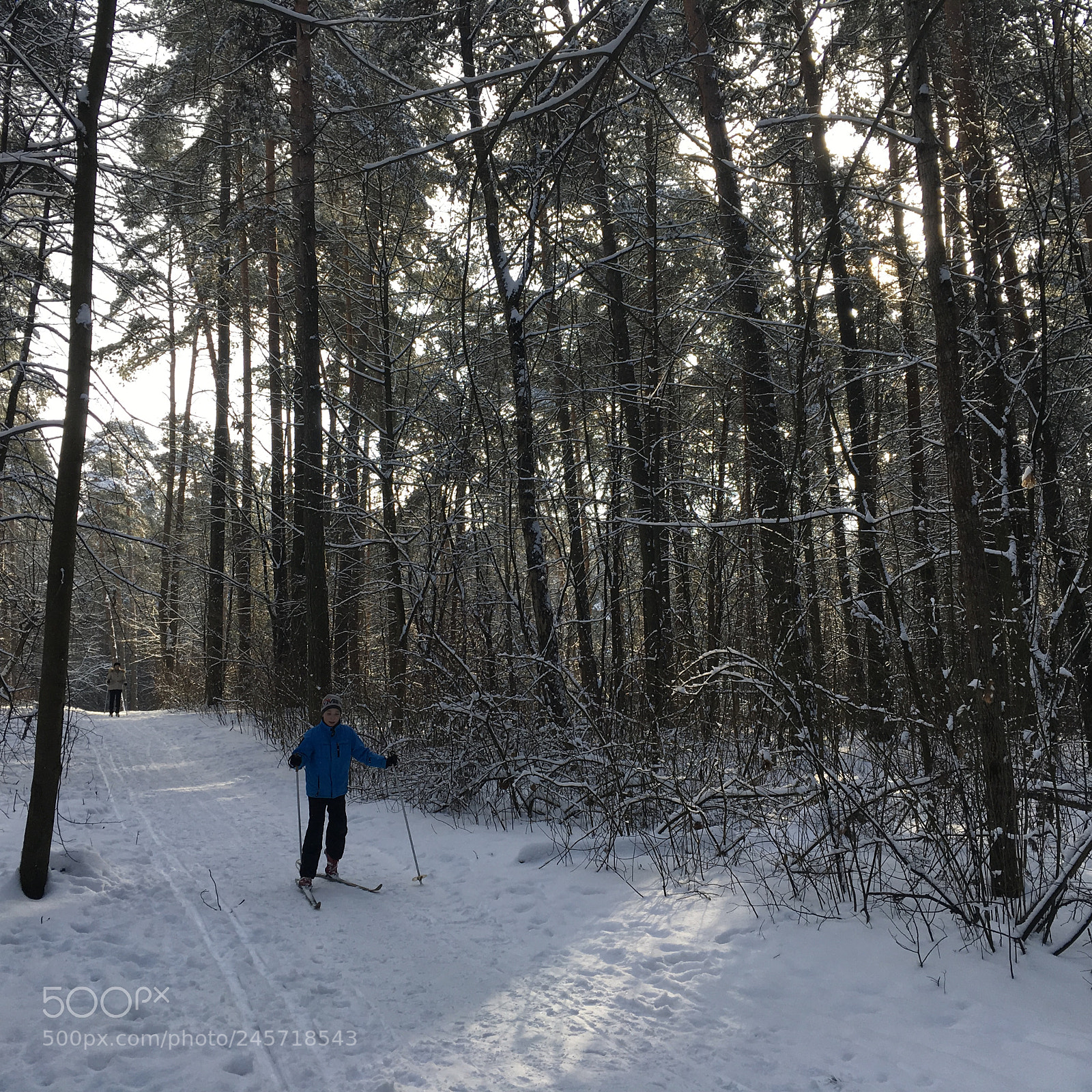 Apple iPad Pro sample photo. Minsk parks photography