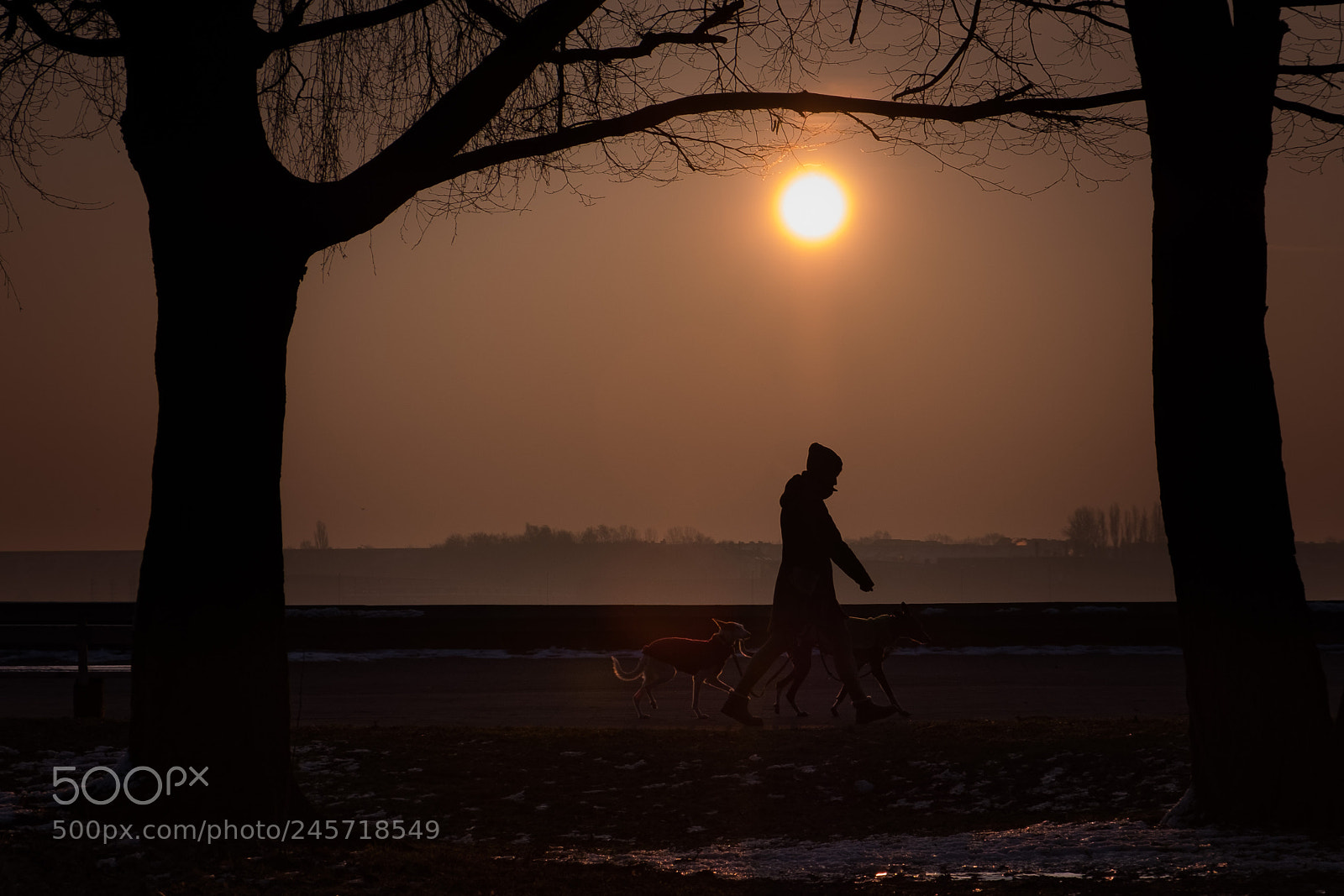 Fujifilm X-T2 sample photo. Morning walk in the photography