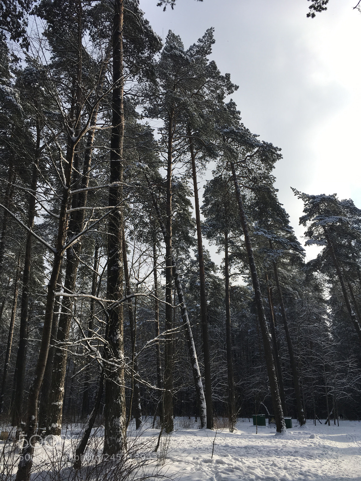 Apple iPad Pro sample photo. Minsk parks photography