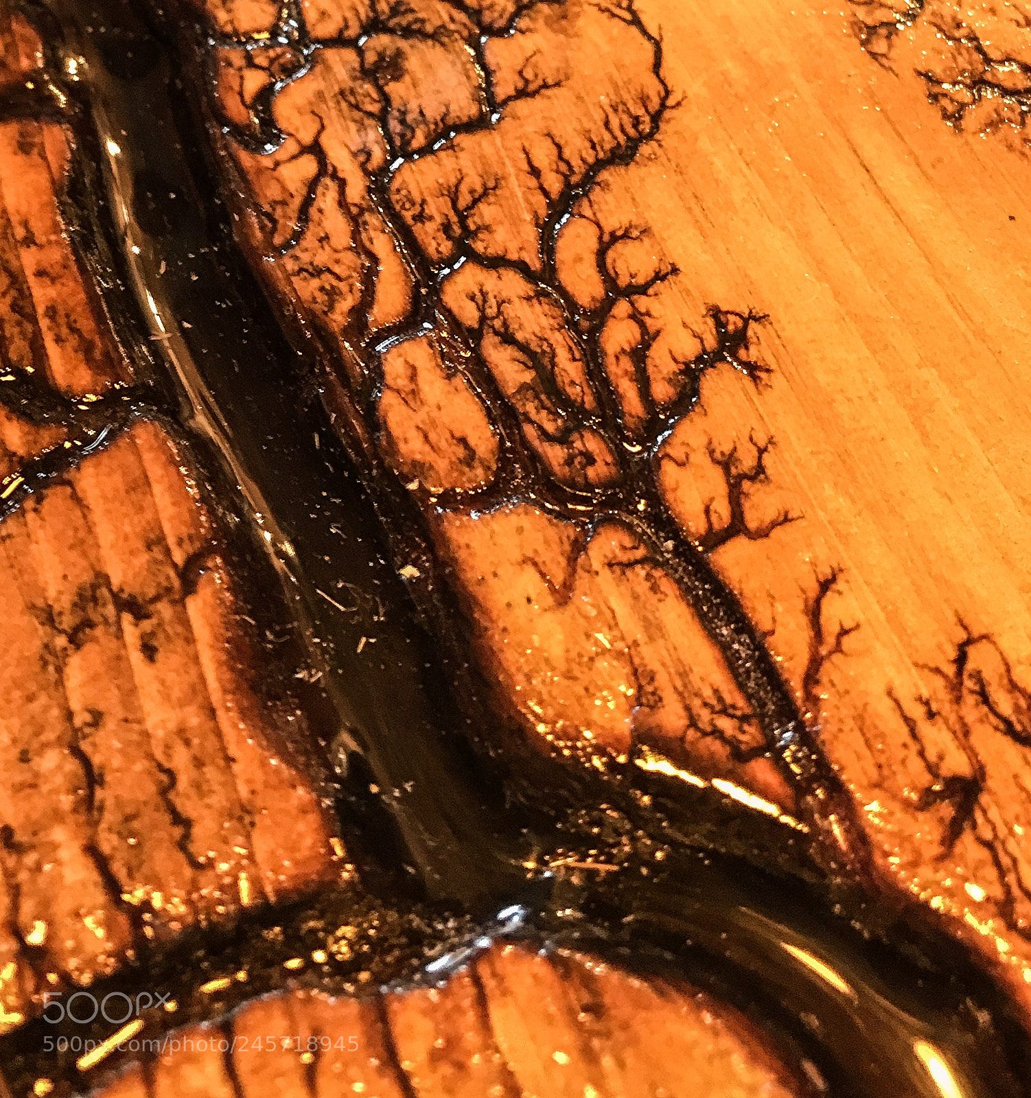 Apple iPhone 7 Plus sample photo. Woodart photography