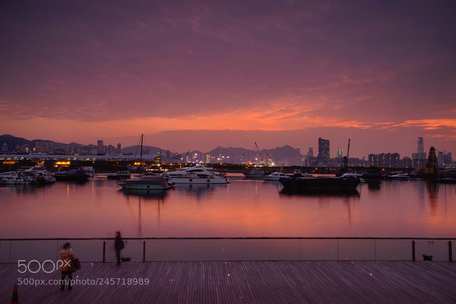 Sony a7 sample photo. Purple photography