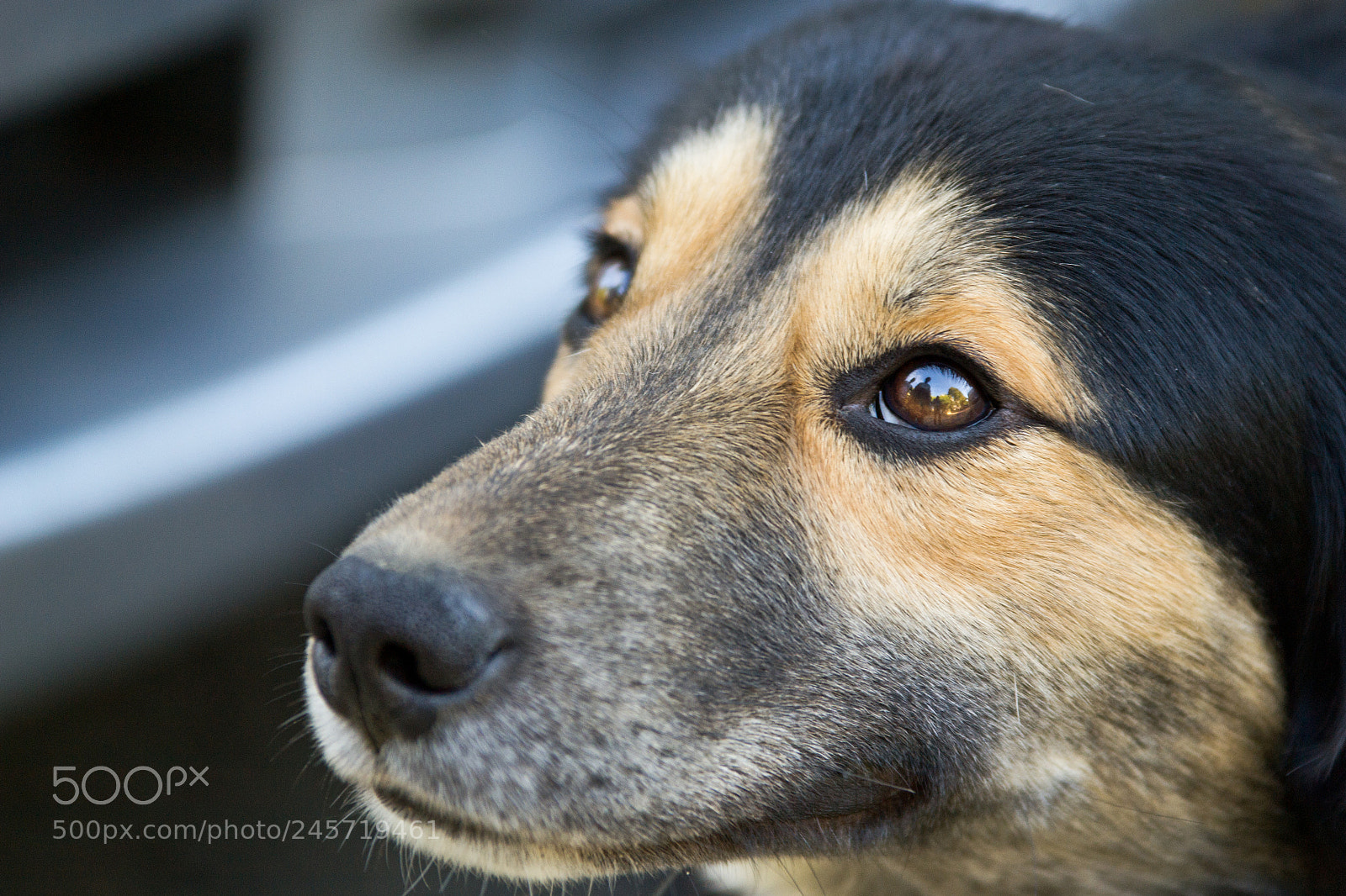 Nikon D3100 sample photo. Usthroughhhiseyes photography