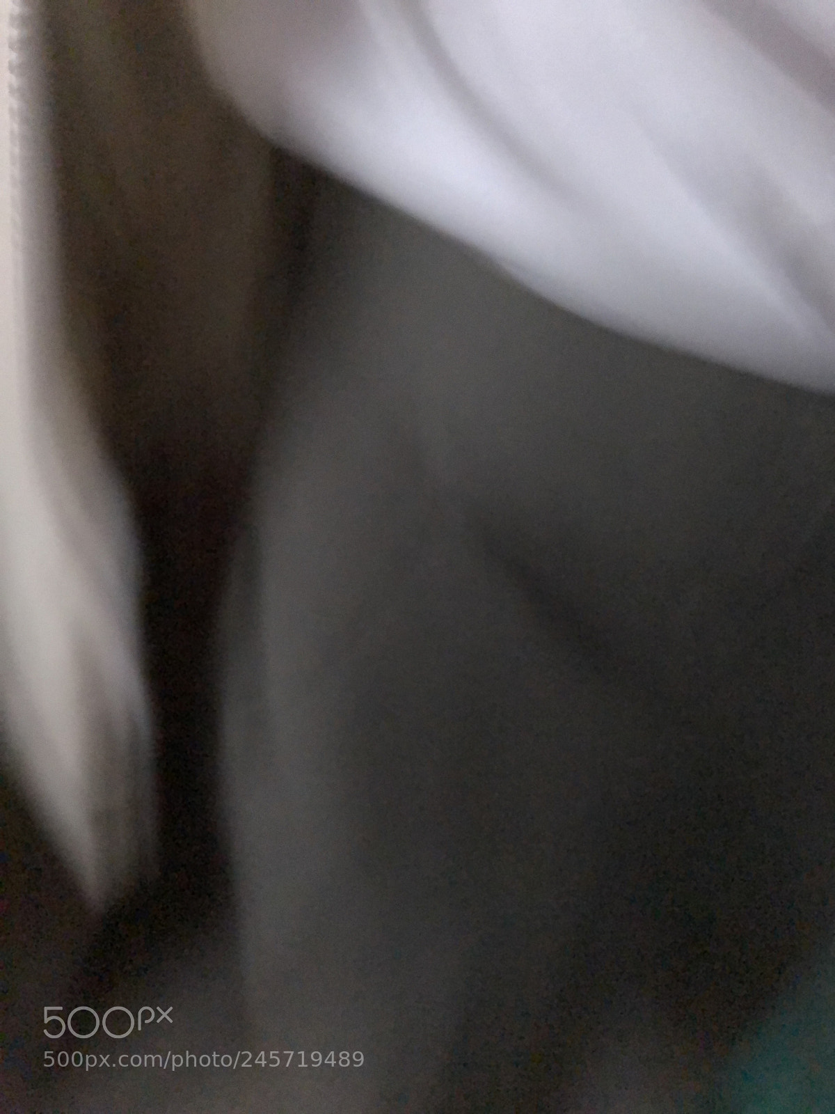 Apple iPhone X sample photo. Untitled photography