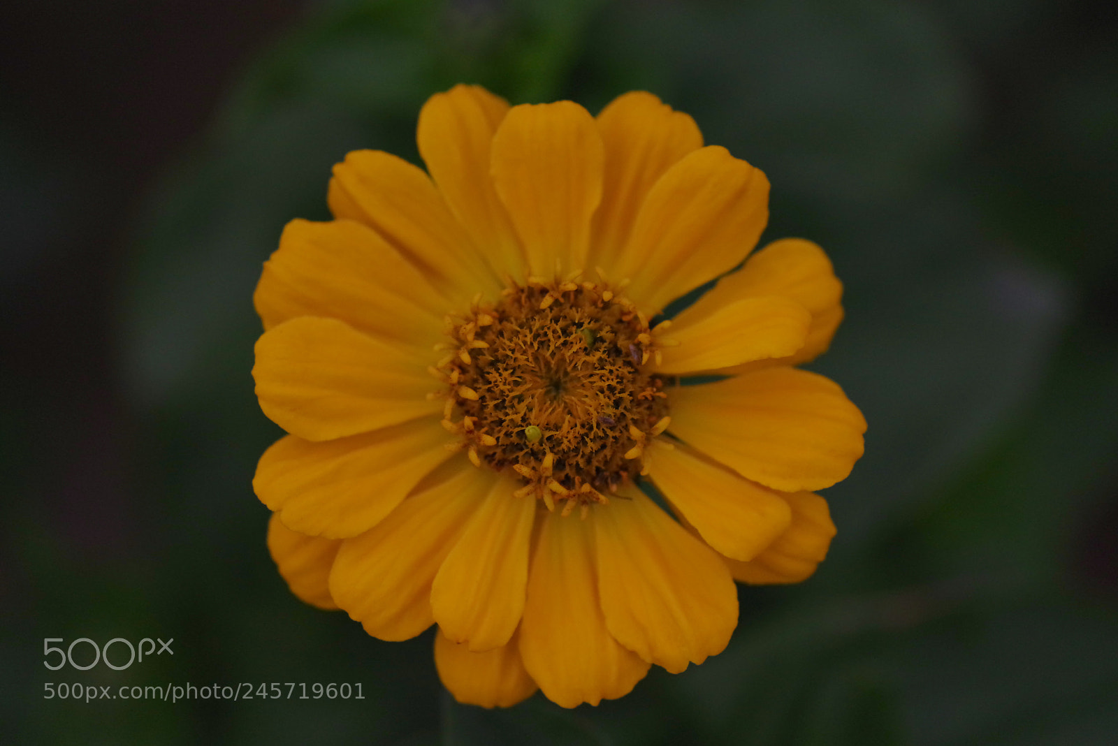 Pentax K-1 sample photo. The view from my photography