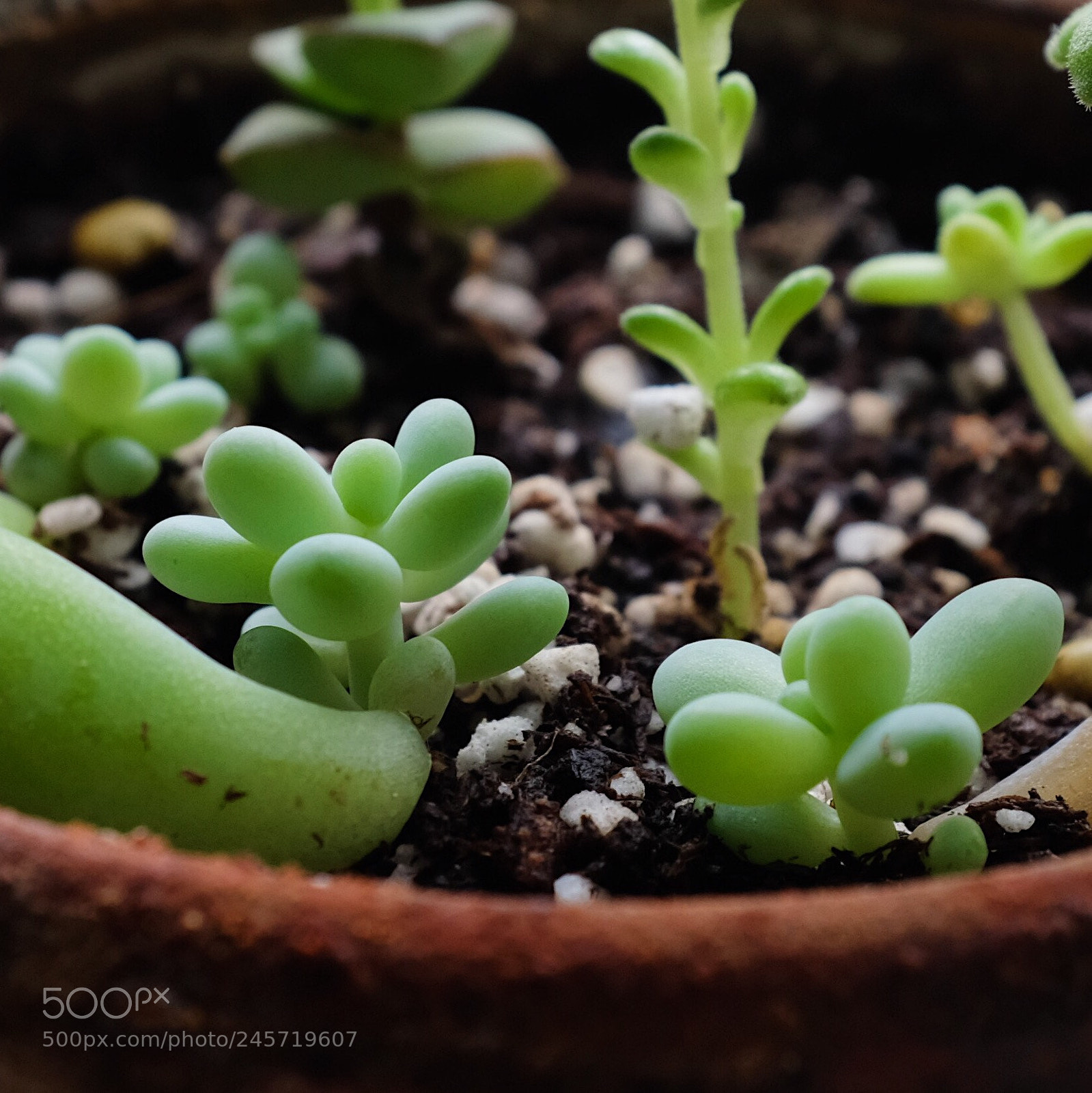 Fujifilm X100F sample photo. Untitled photography