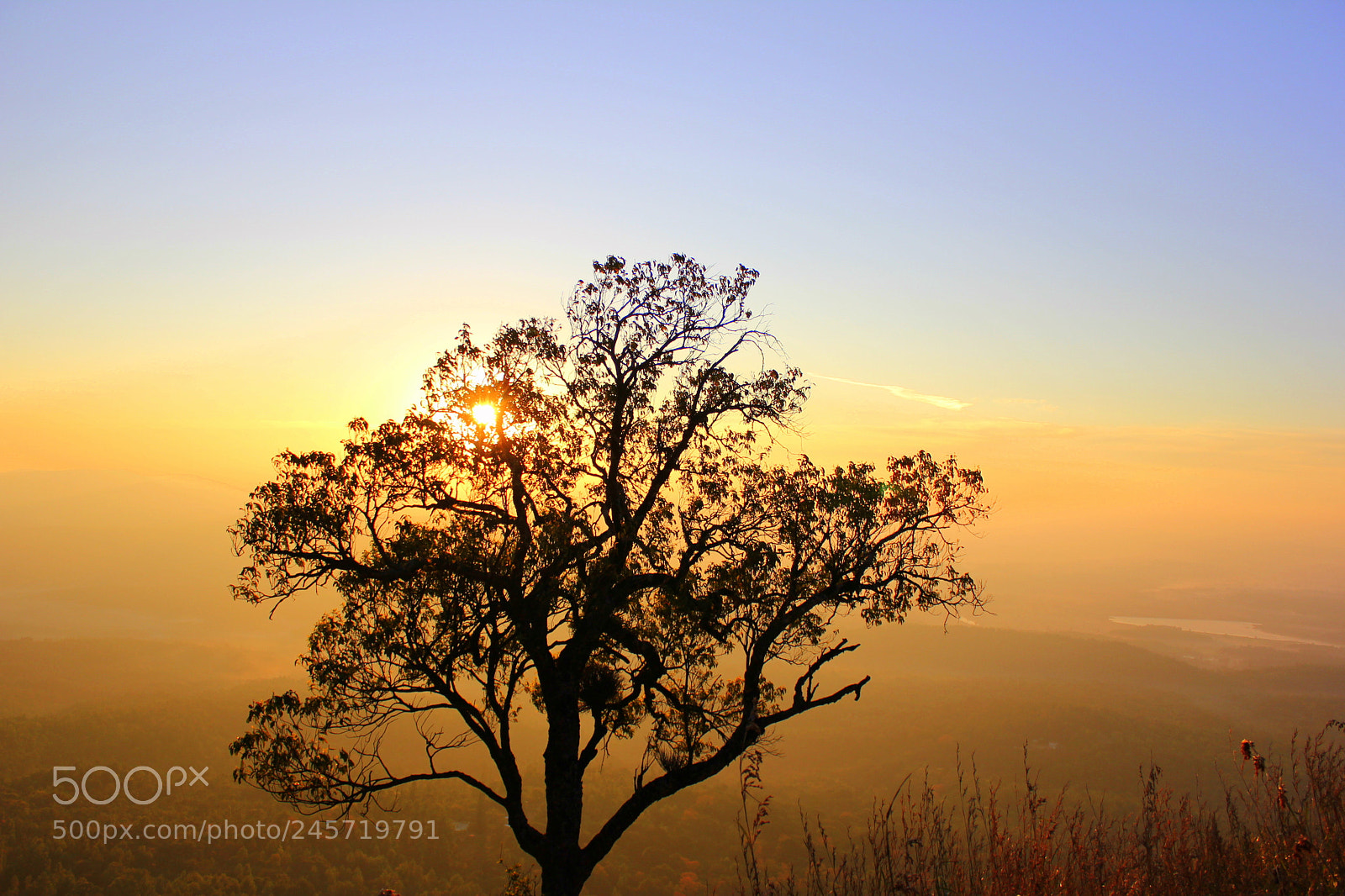 Canon EOS 550D (EOS Rebel T2i / EOS Kiss X4) sample photo. Western ghats photography