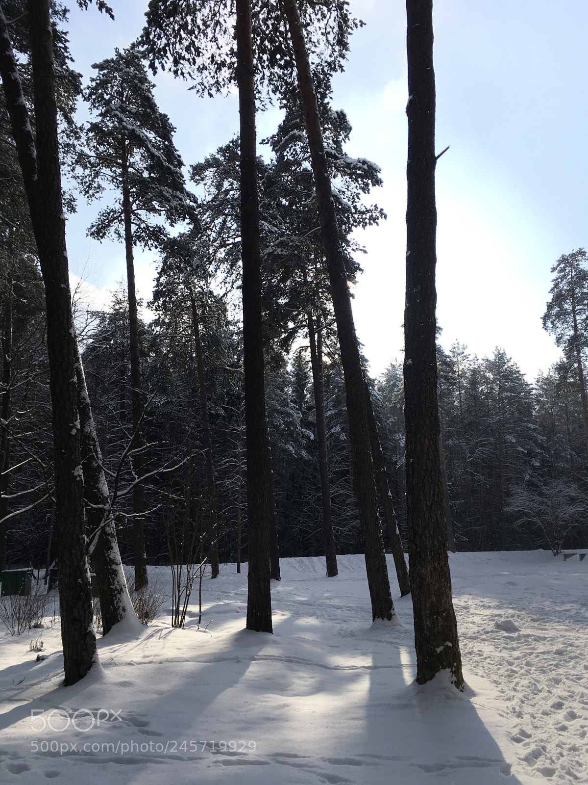 Apple iPad Pro sample photo. Minsk parks photography