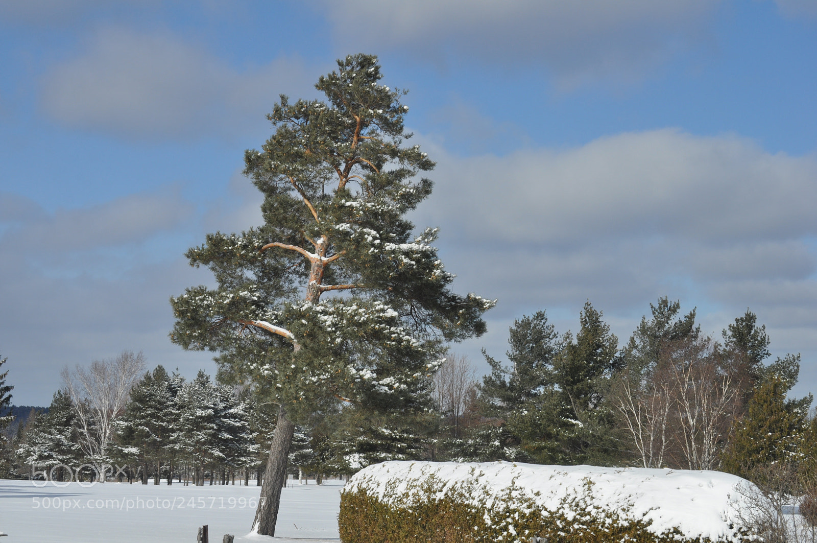 Nikon D5000 sample photo. Leaning photography