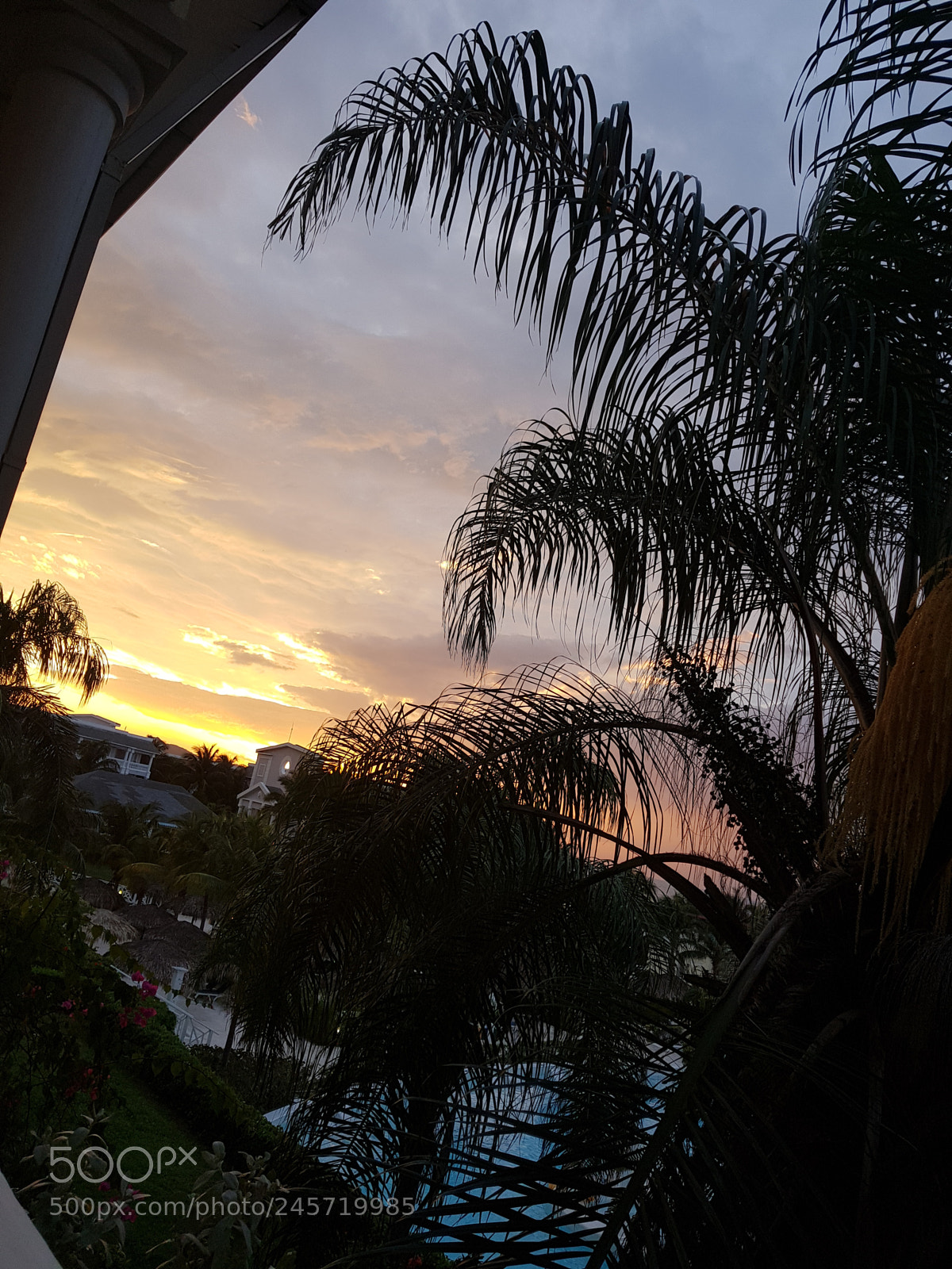 Samsung Galaxy S8 sample photo. Untitled photography