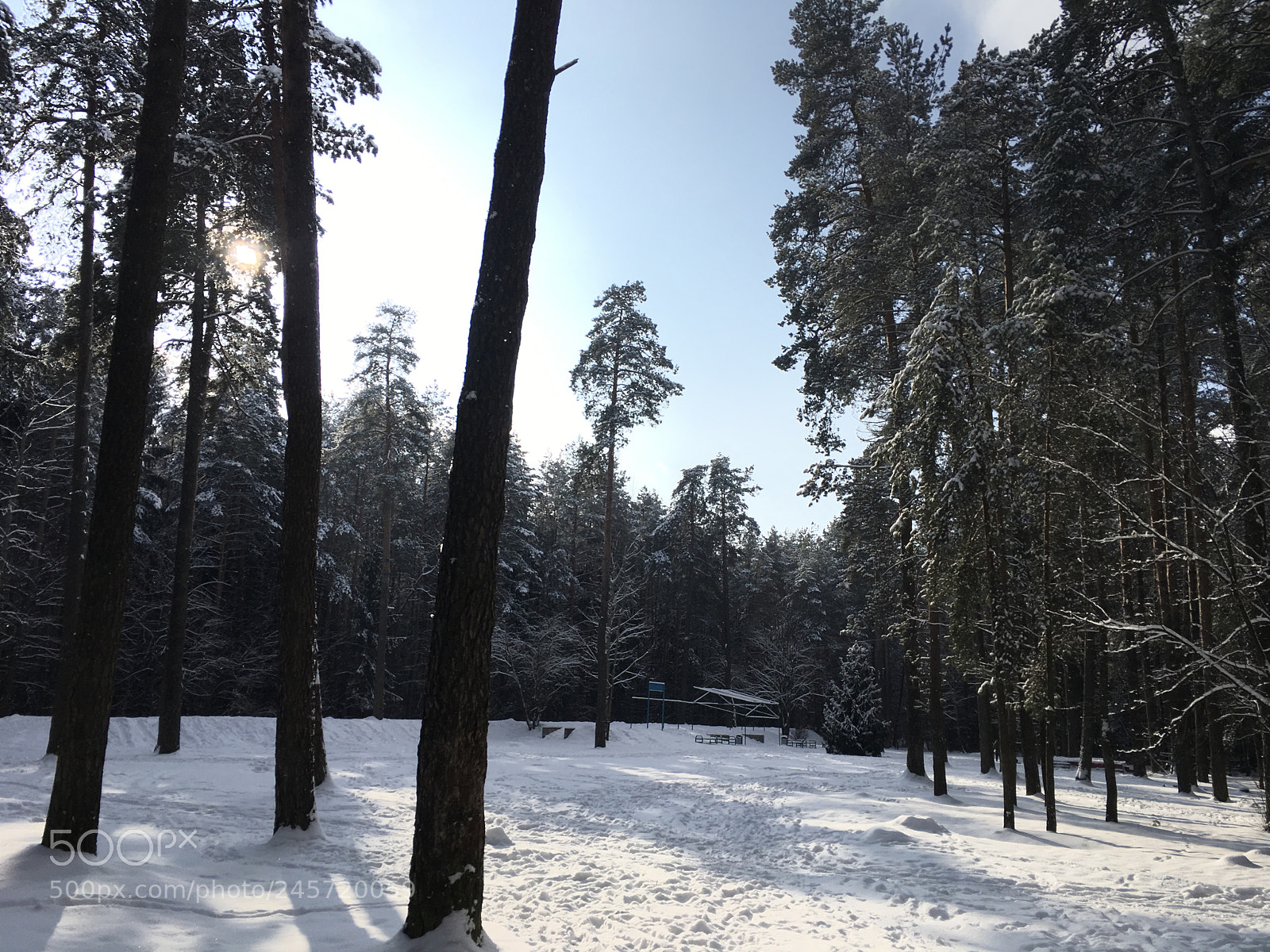 Apple iPad Pro sample photo. Minsk parks photography