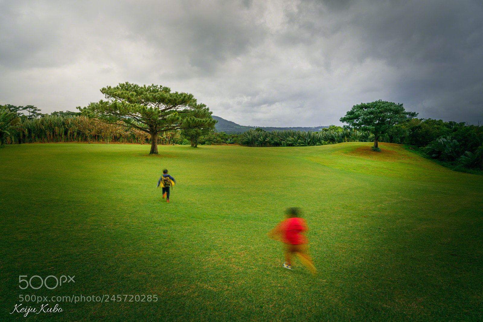 Sony a7R III sample photo. Calling photography