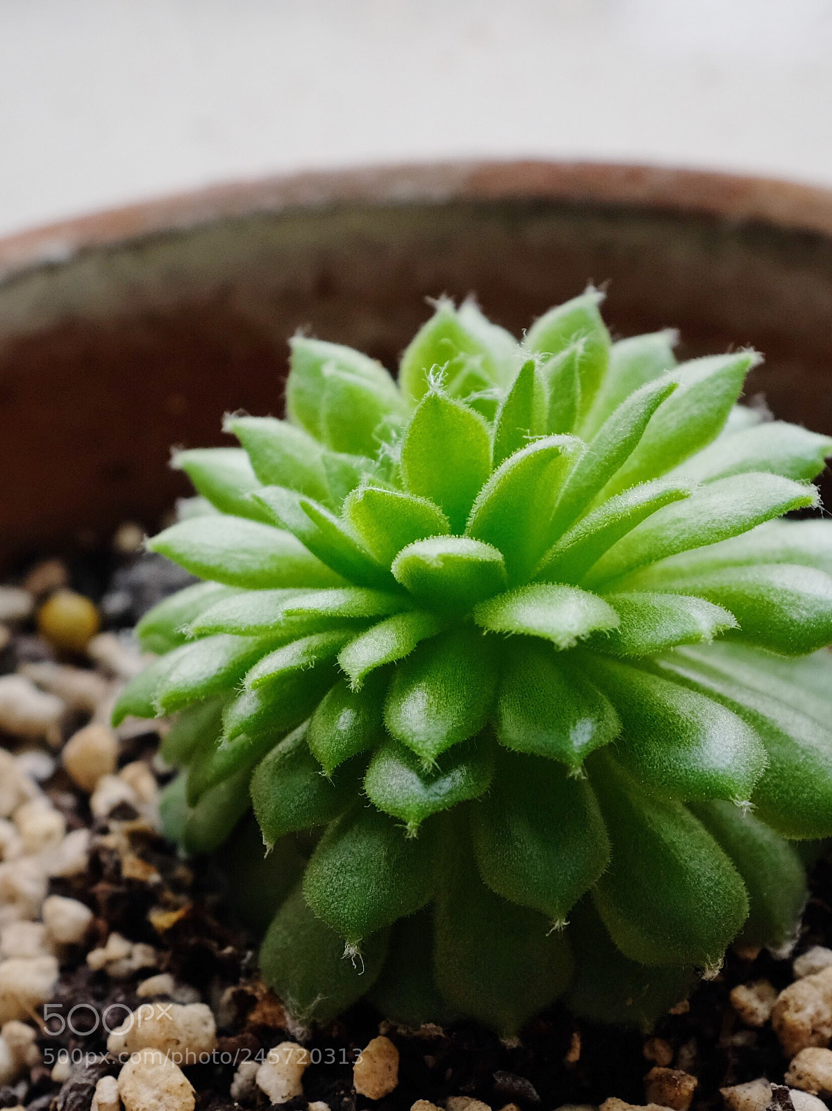 Fujifilm X100F sample photo. Untitled photography