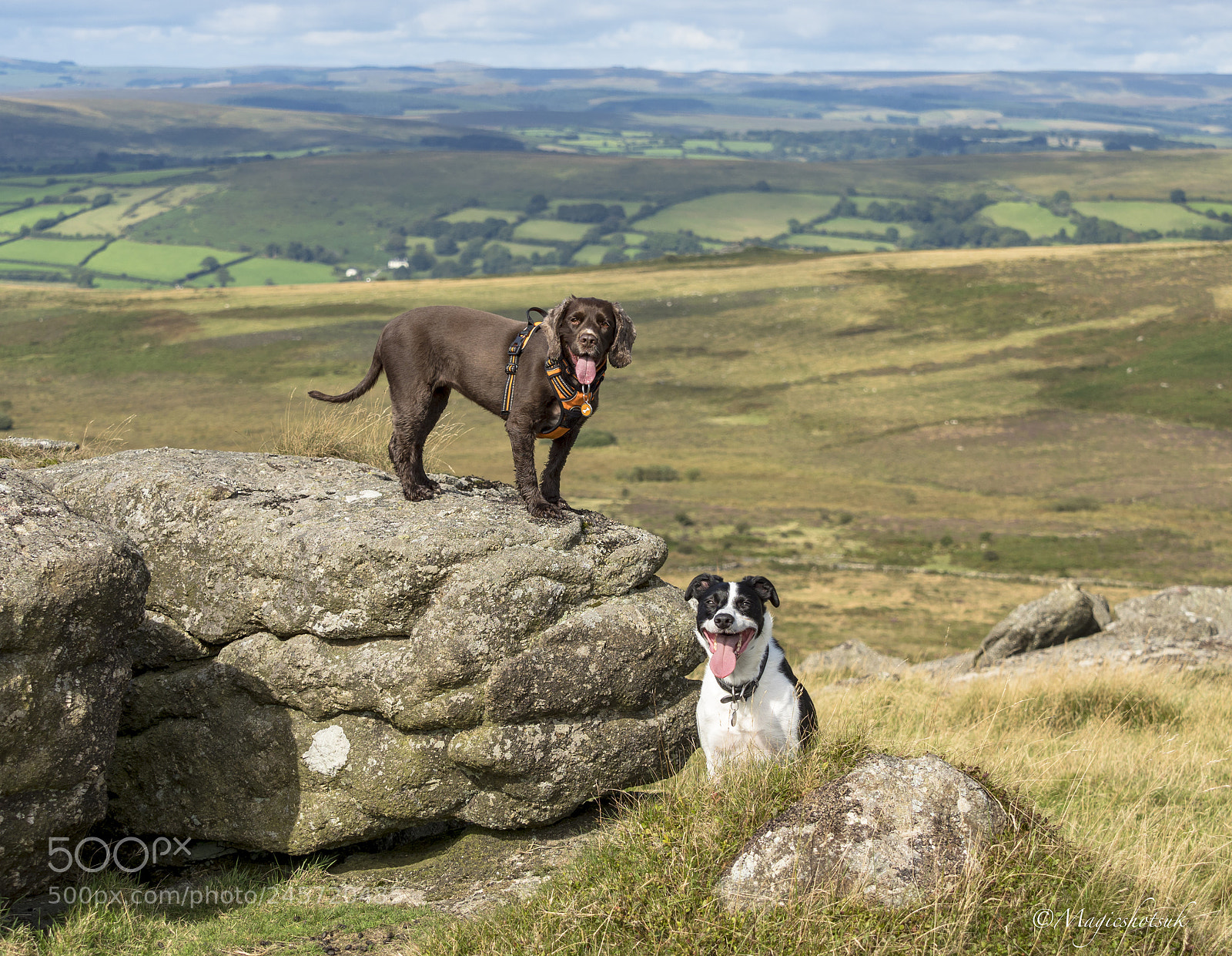 Olympus OM-D E-M1 Mark II sample photo. Fun on dartmoor photography