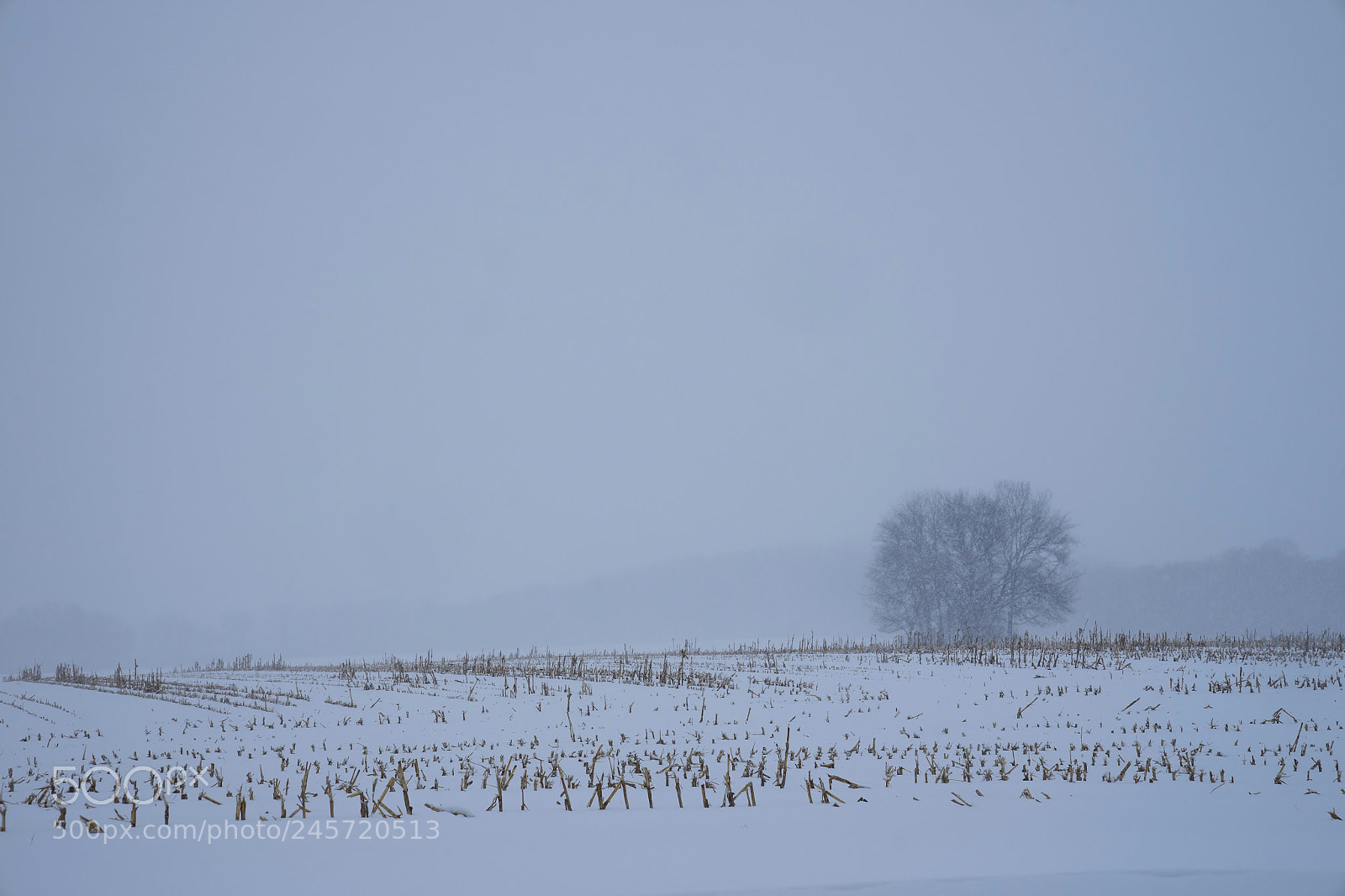 Sony a7 II sample photo. Stormy photography