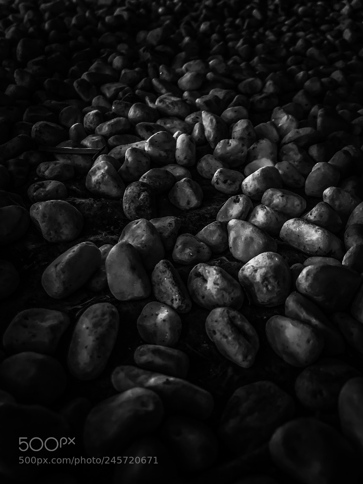 Apple iPhone 7 sample photo. Untitled photography