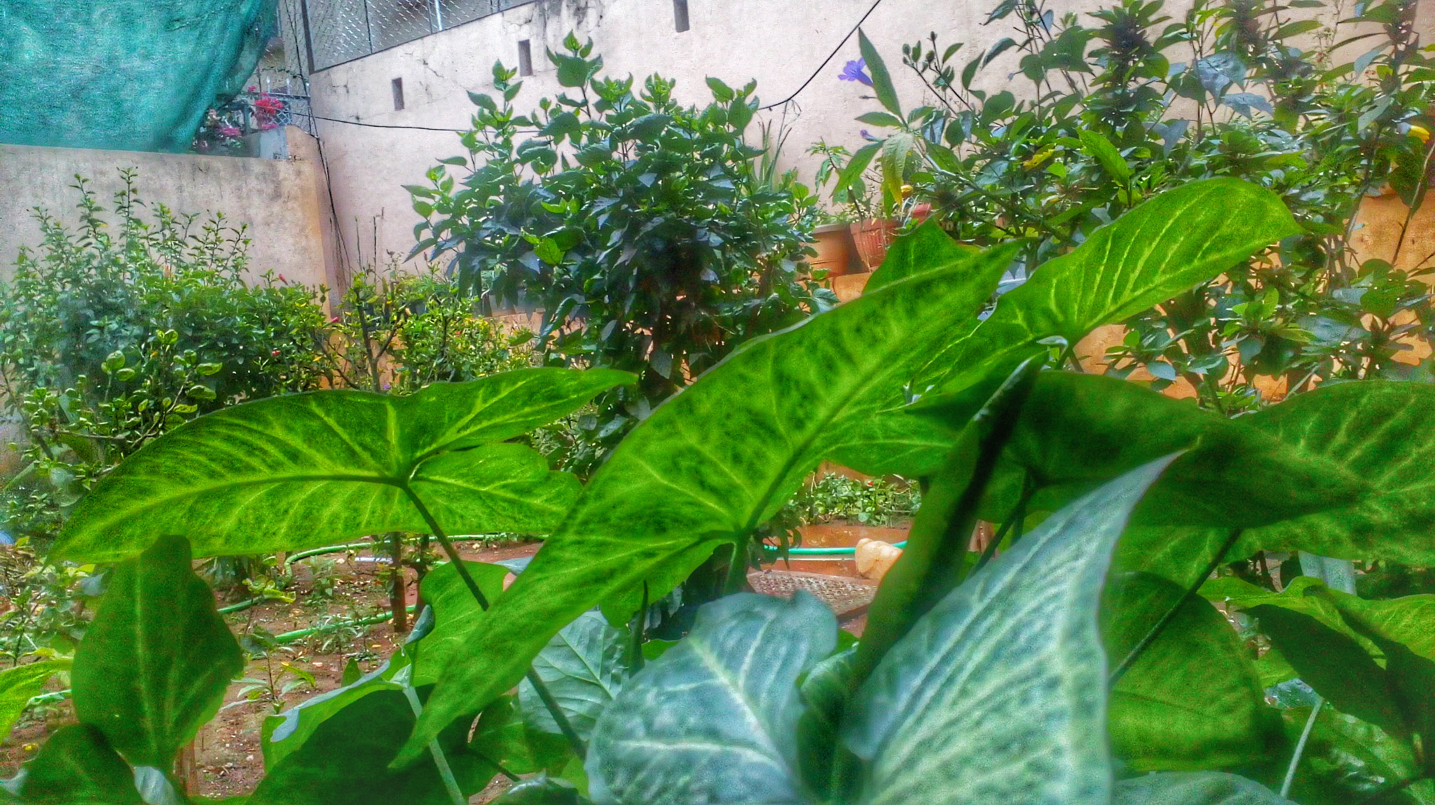 Motorola Moto E3 Power sample photo