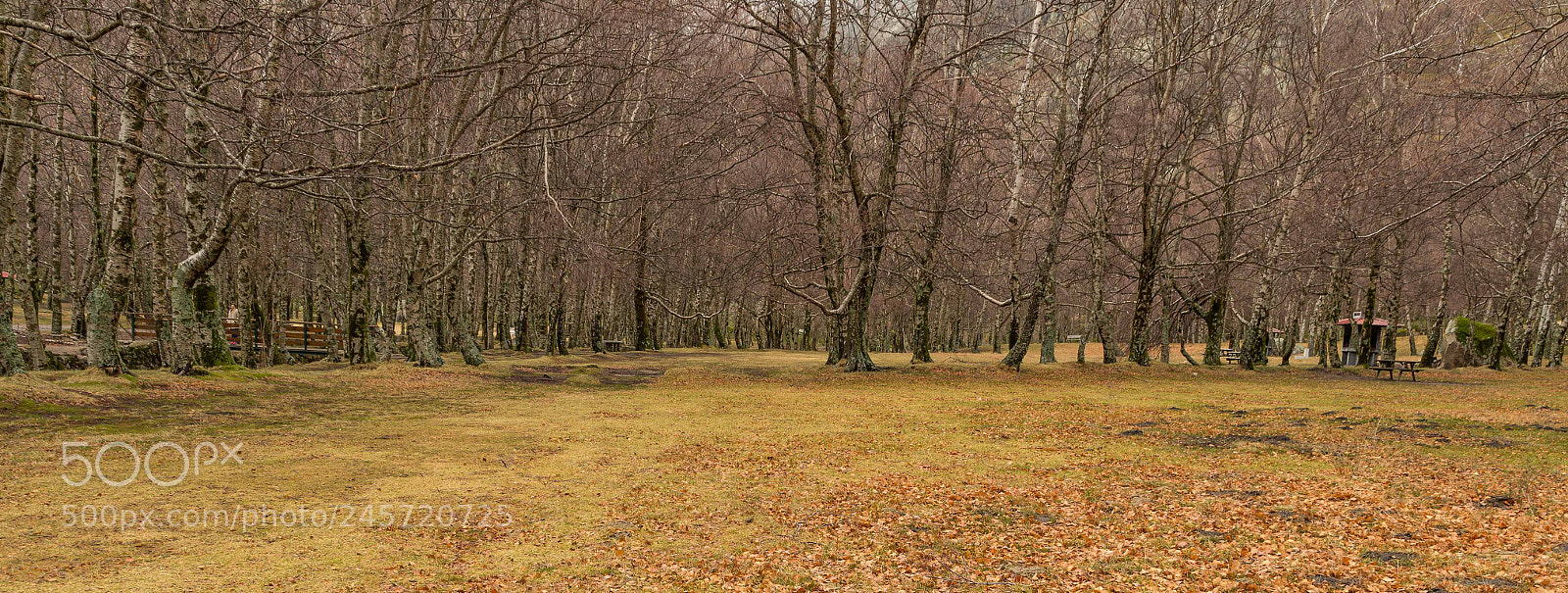 Canon EOS 650D (EOS Rebel T4i / EOS Kiss X6i) sample photo. Ametade photography