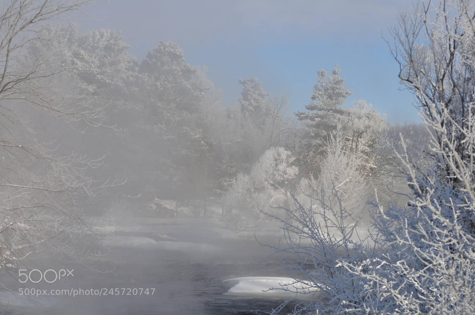 Nikon D5000 sample photo. Misty river photography