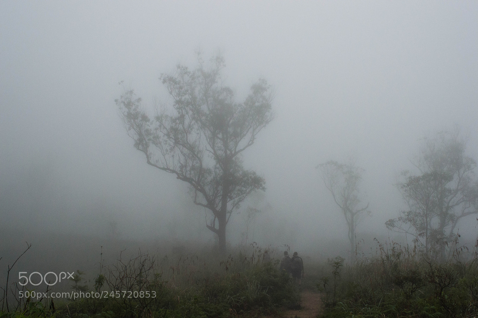 Nikon D3200 sample photo. Knuckels hiking photography