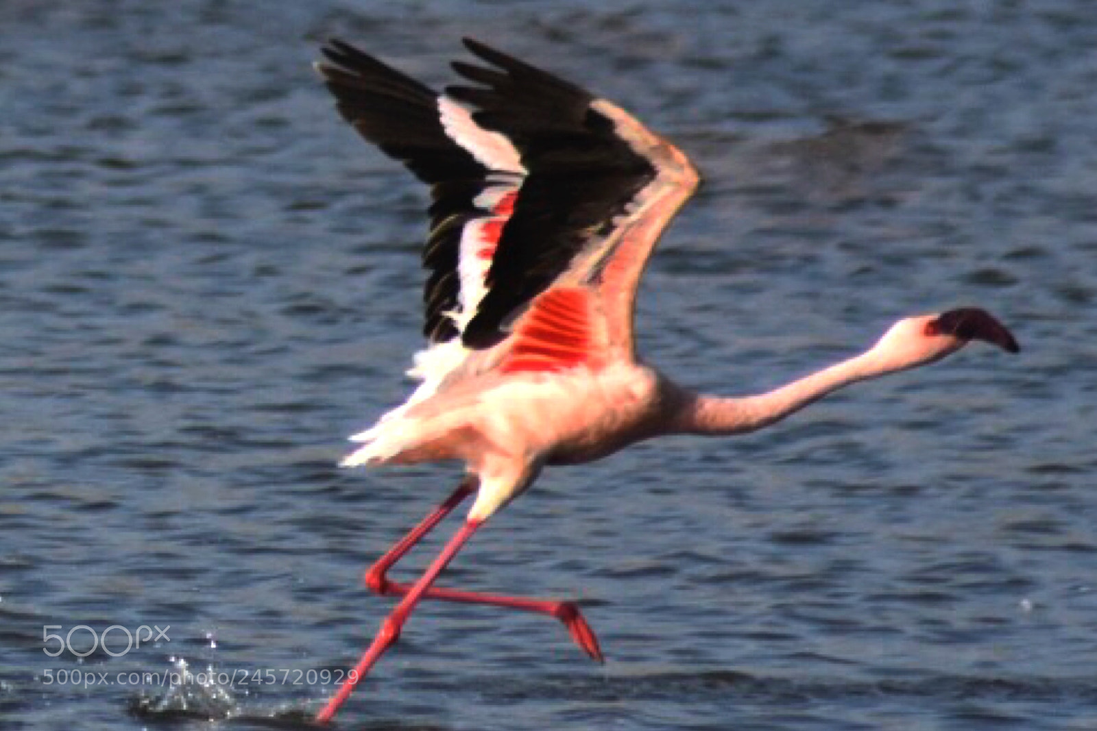 Nikon D7200 sample photo. The beauty of nature photography