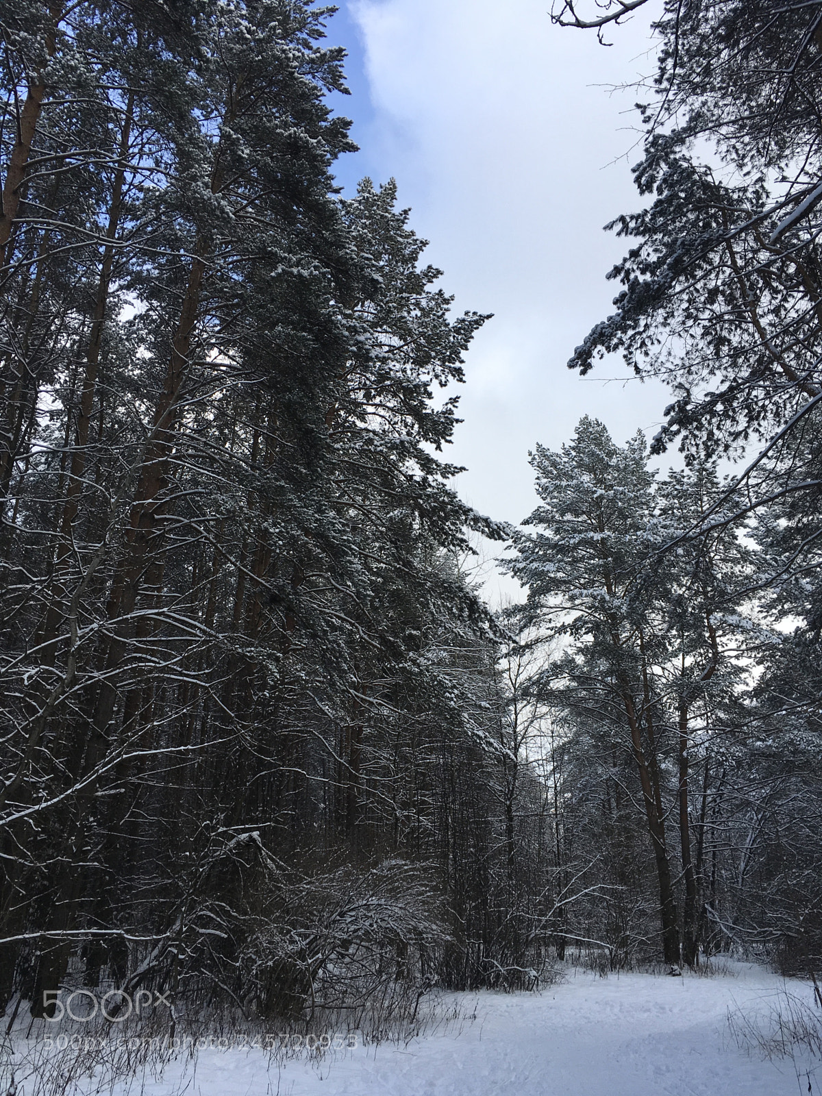 Apple iPad Pro sample photo. Minsk parks photography