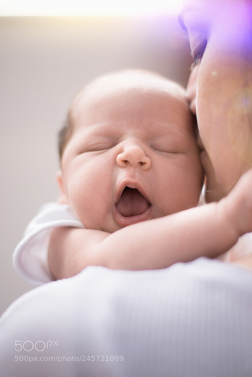 Nikon D810 sample photo. First yawns photography