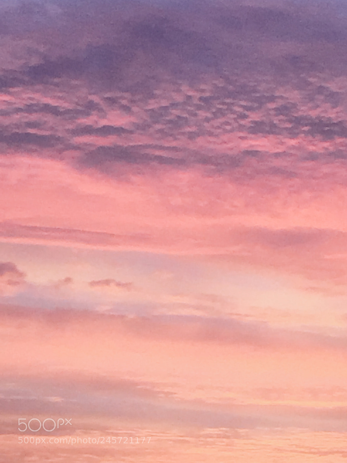 Apple iPhone 6 Plus sample photo. Heaven is a place photography