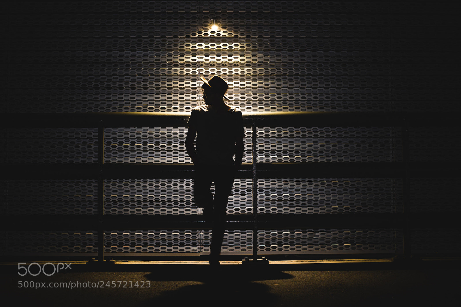 Nikon D610 sample photo. Standing silhouette looking to photography