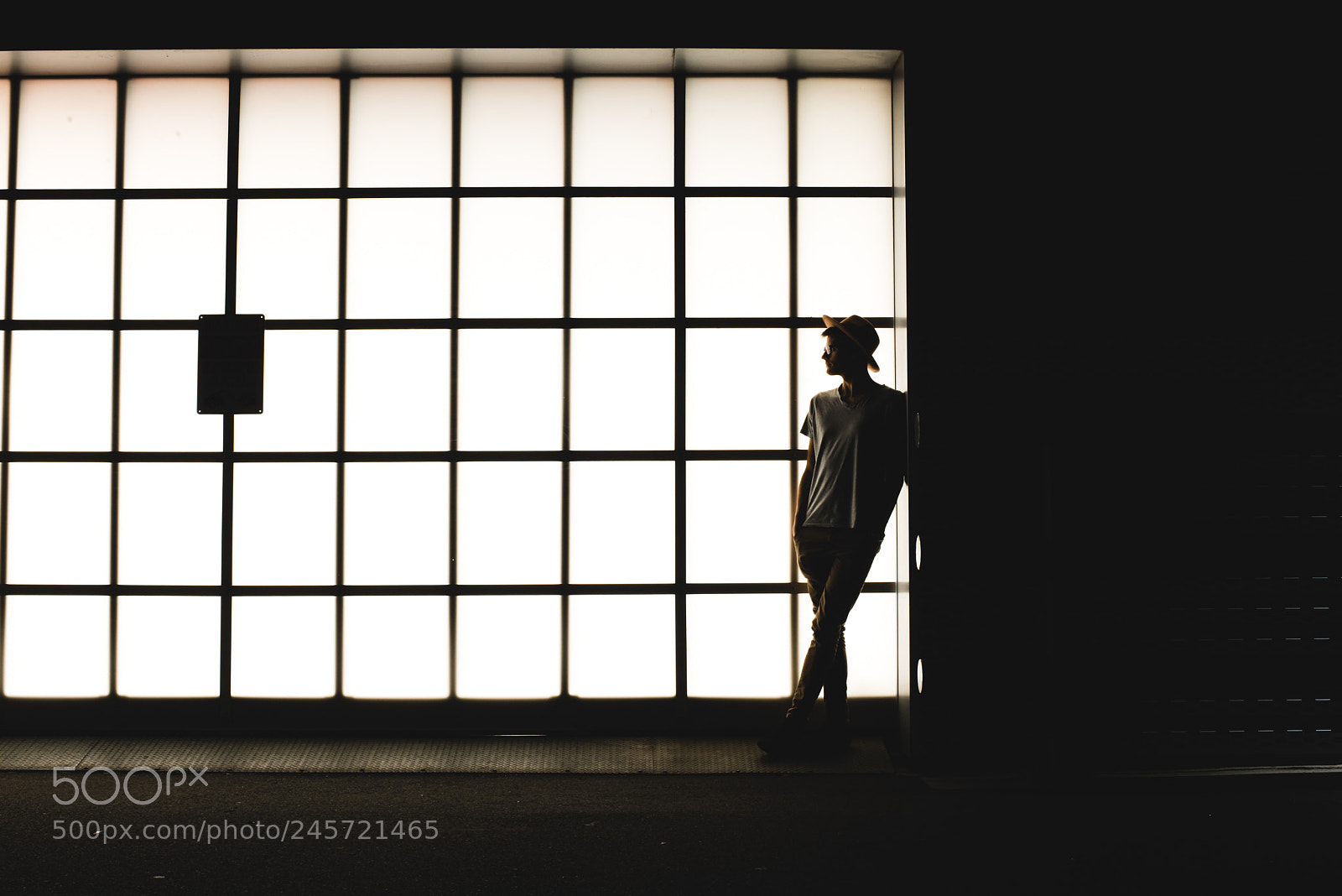 Nikon D610 sample photo. Silhouette in front of photography