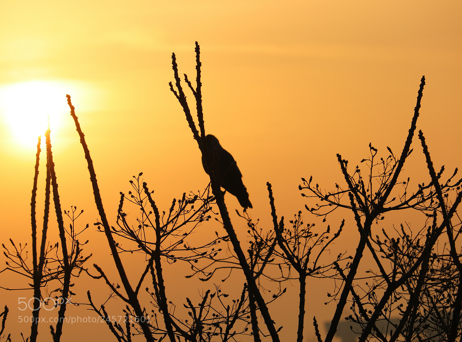 Canon EOS 200D (EOS Rebel SL2 / EOS Kiss X9) sample photo. Sunrise photography