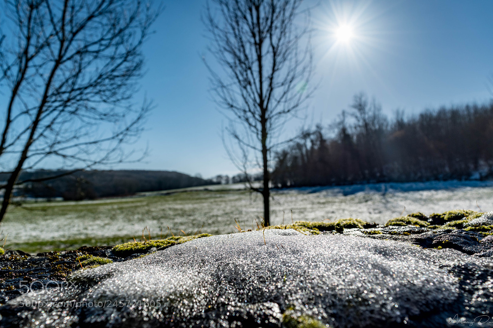 Nikon D5500 sample photo. Paysage d'hiver photography