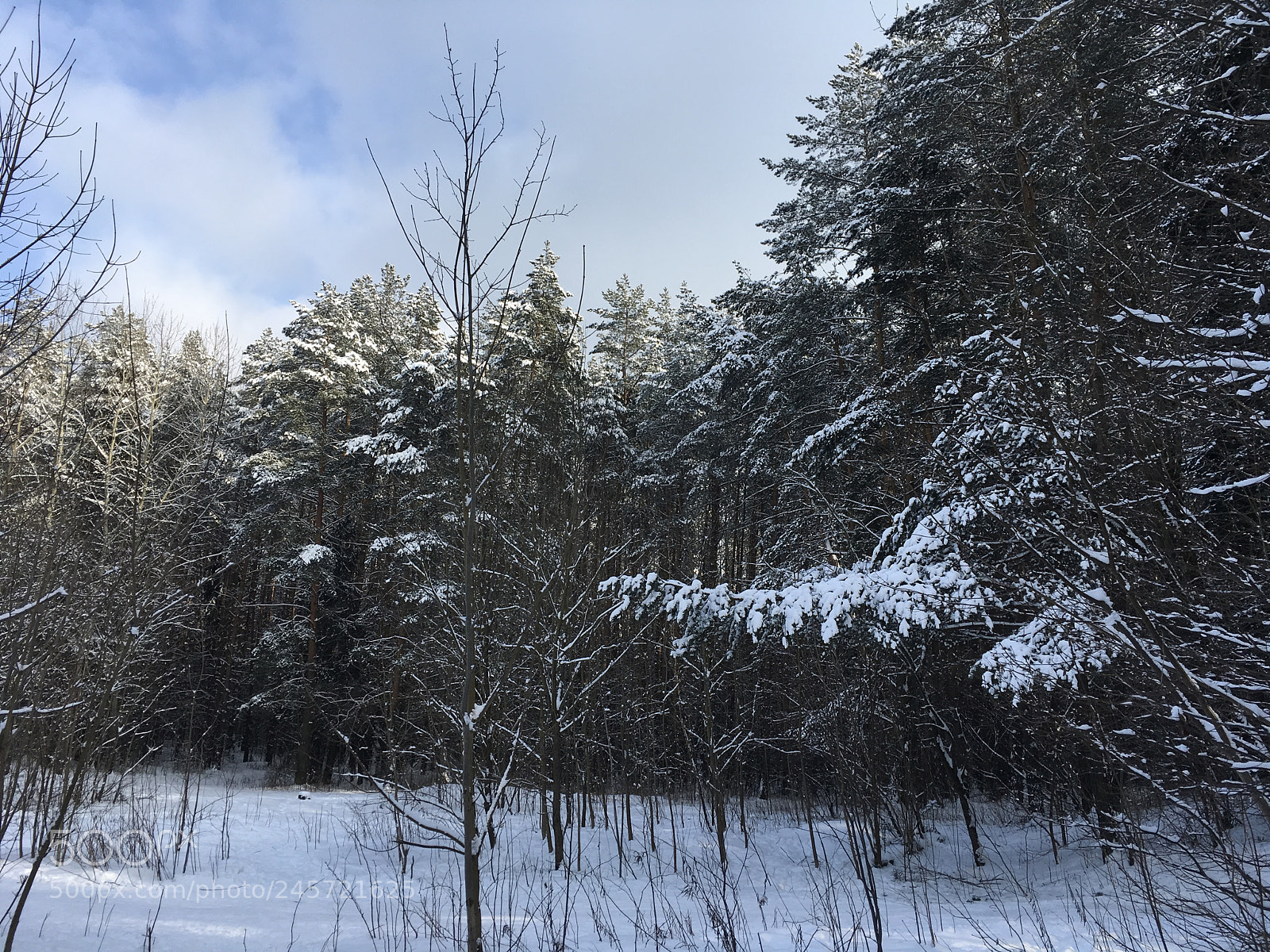 Apple iPad Pro sample photo. Minsk parks photography